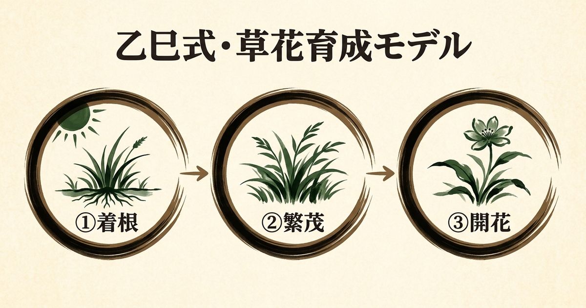 乙巳式 草花育成モデル：着根→繁茂→開花