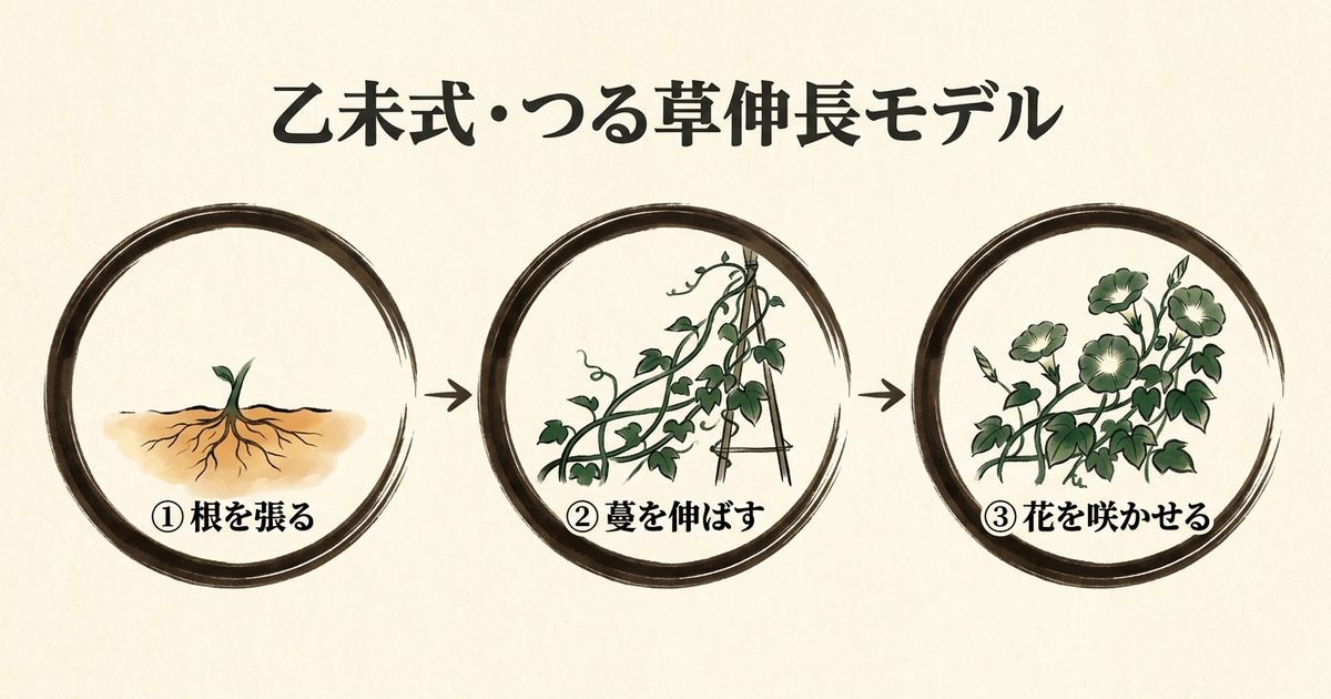 つる草伸長モデル。乙未の成長を3段階で設計するフレームワークだ