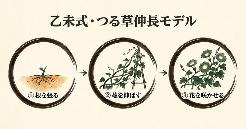 つる草伸長モデル。乙未の成長を3段階で設計するフレームワークだ