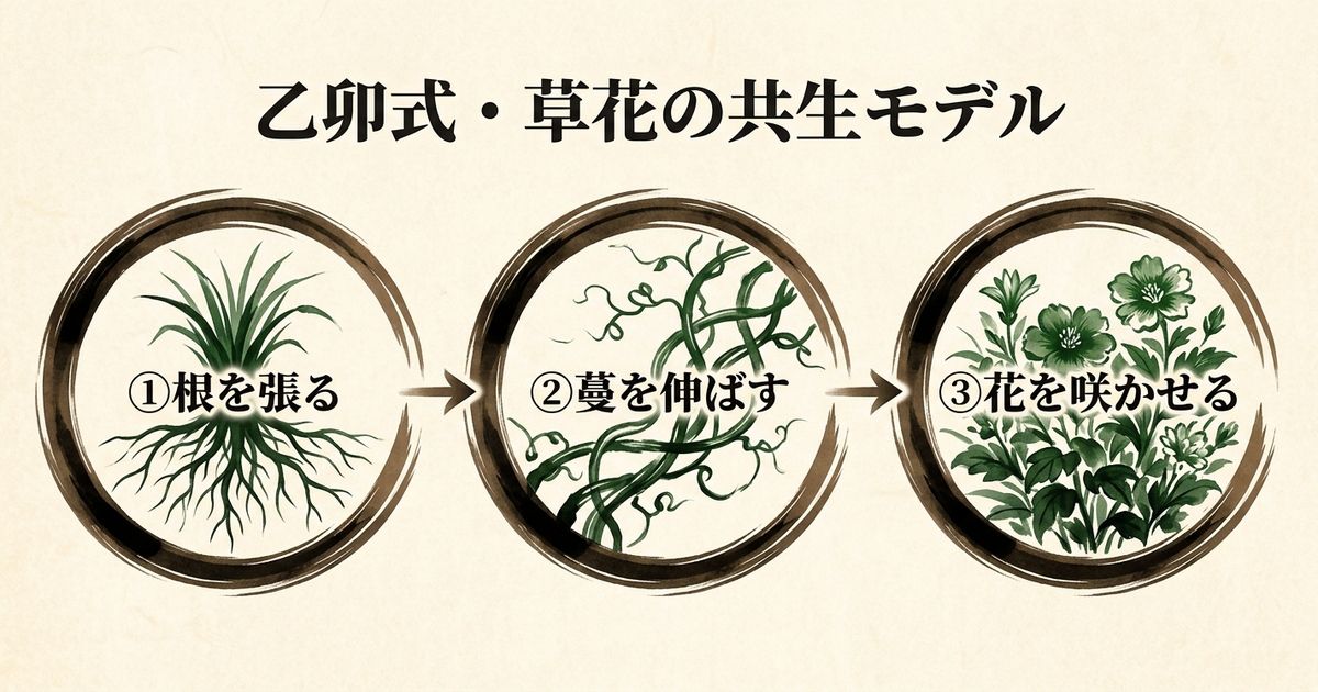 乙卯式「草花の共生モデル」── 3つのステップ