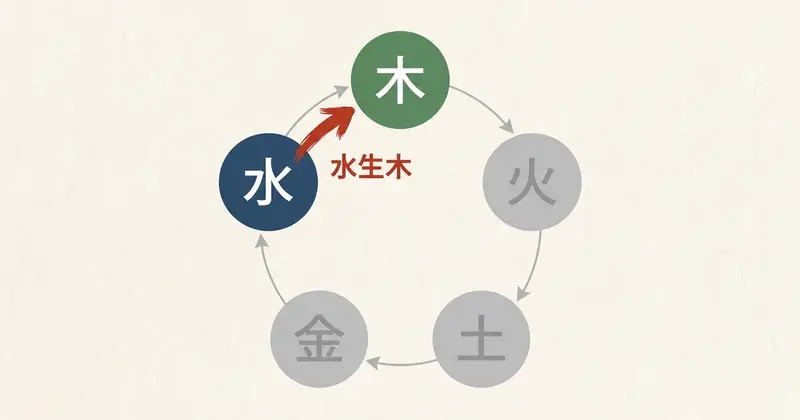 甲（木・陽）と子（水・陽）の相生関係