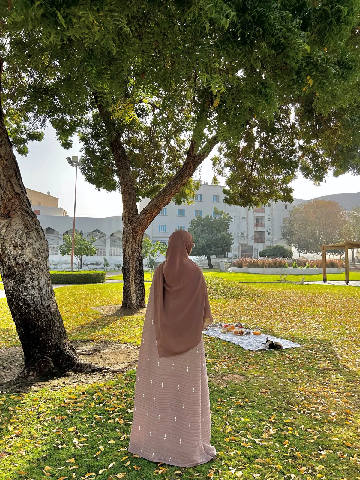 The Desert Brown Longline