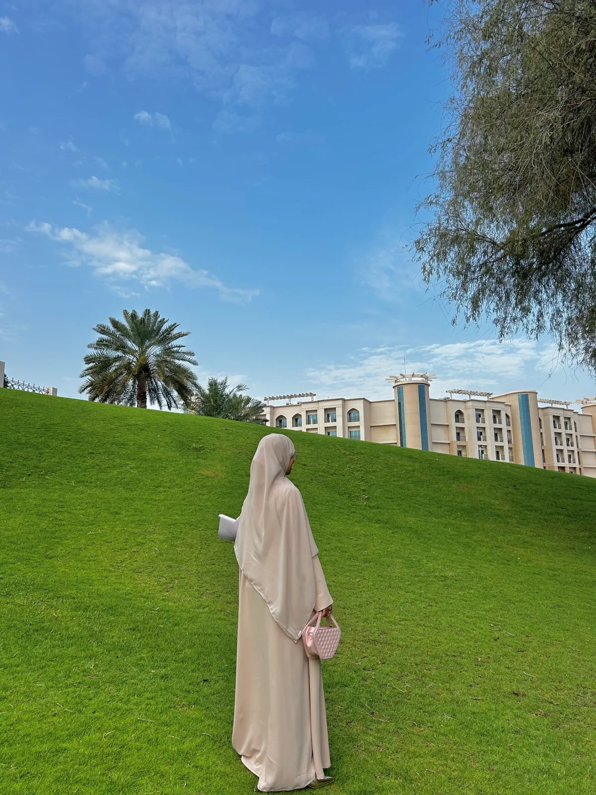 Pearl Dust Abaya - View 4