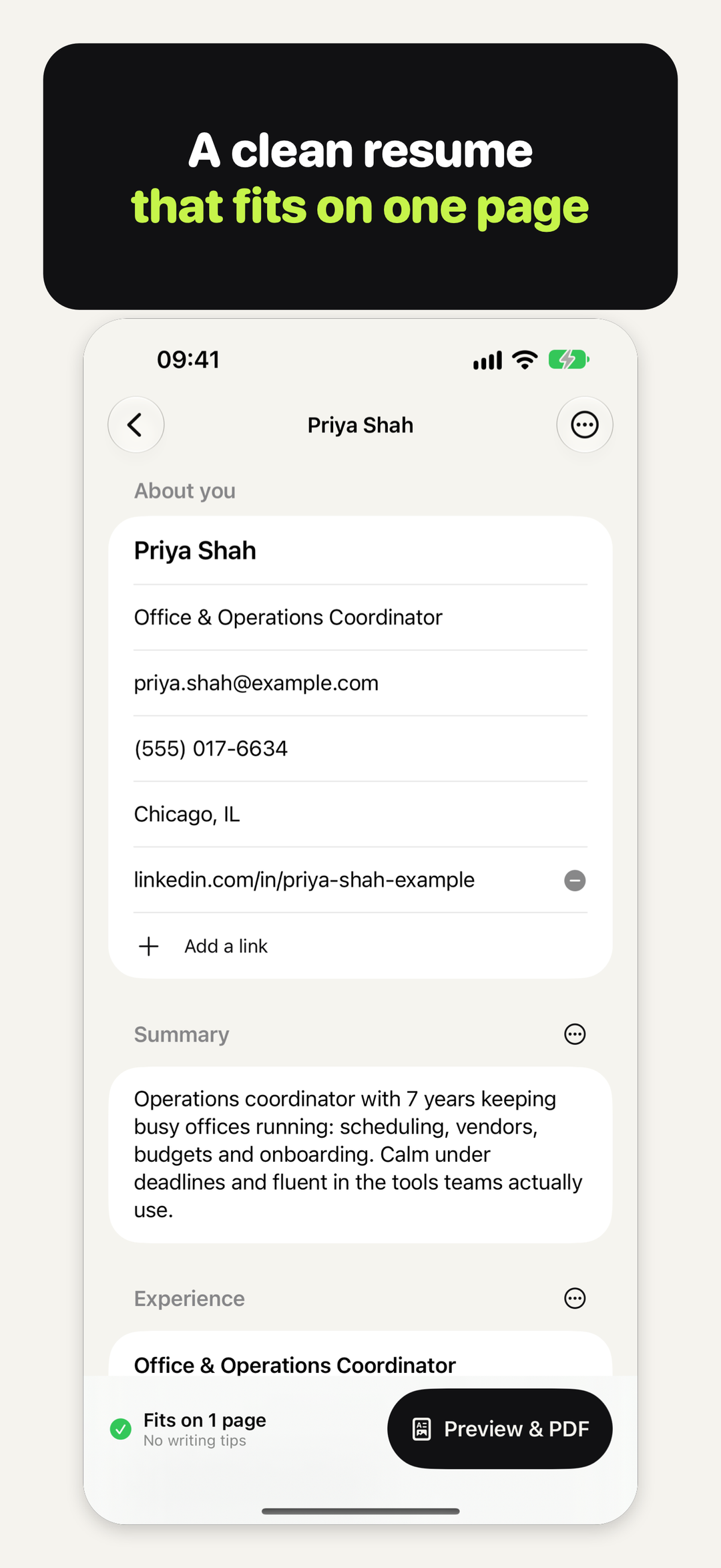 The Resume Cat editor, with "Fits on 1 page" and Preview & PDF in the bottom bar