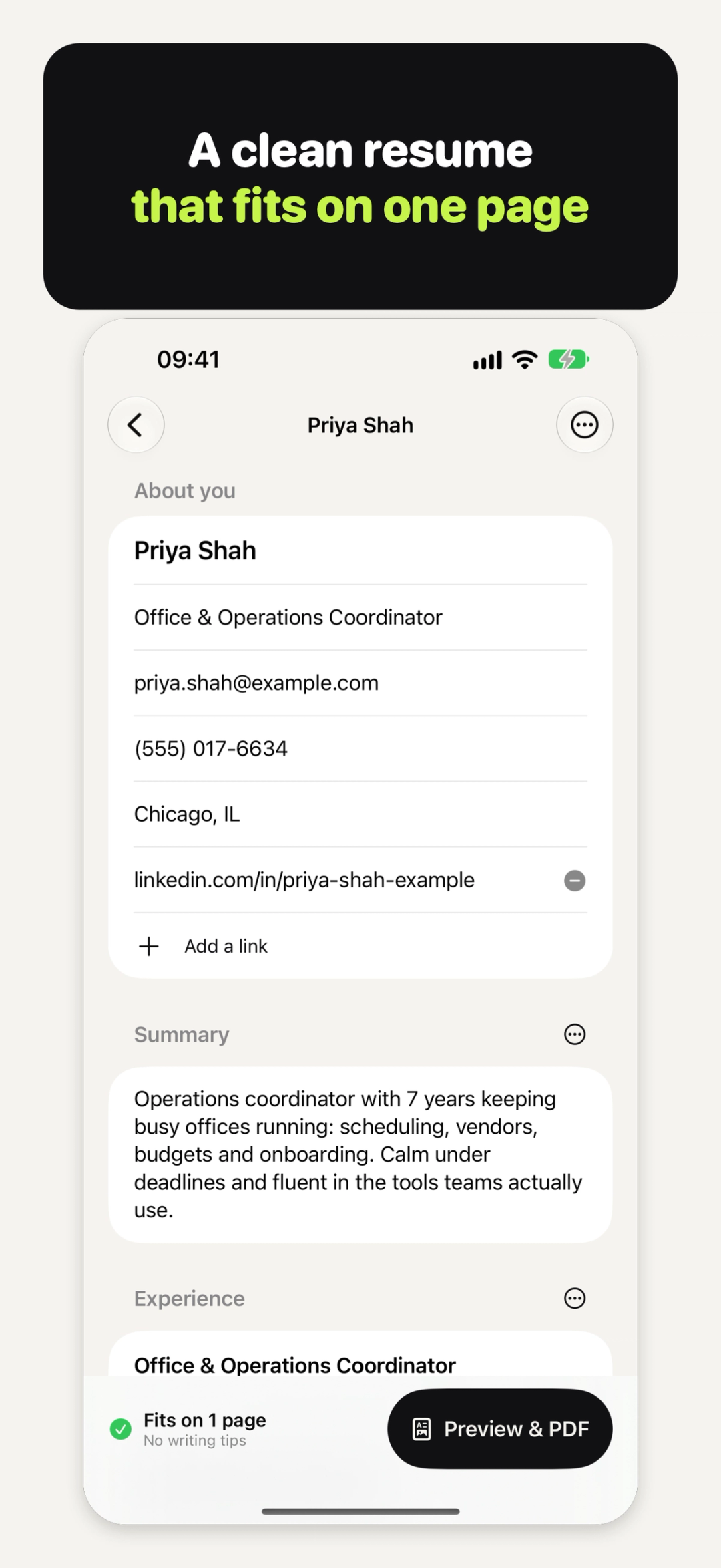 The Resume Cat editor, with "Fits on 1 page" and Preview & PDF in the bottom bar