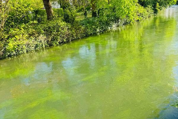 The Vital Role of Knowledge