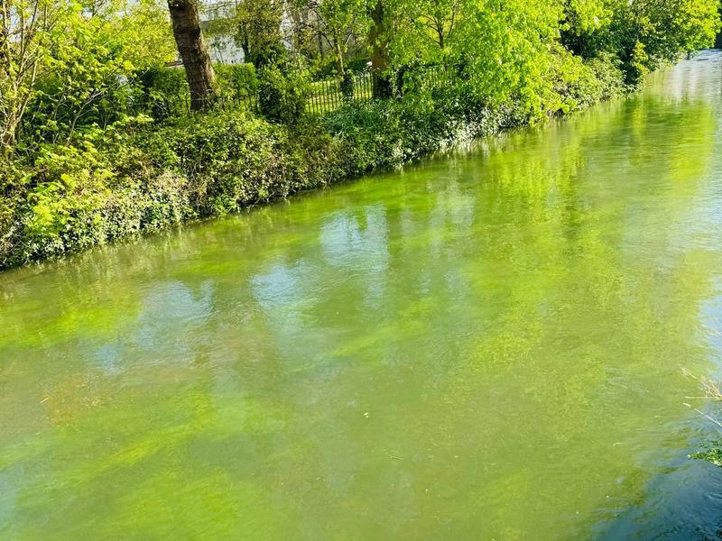 The Vital Role of Knowledge