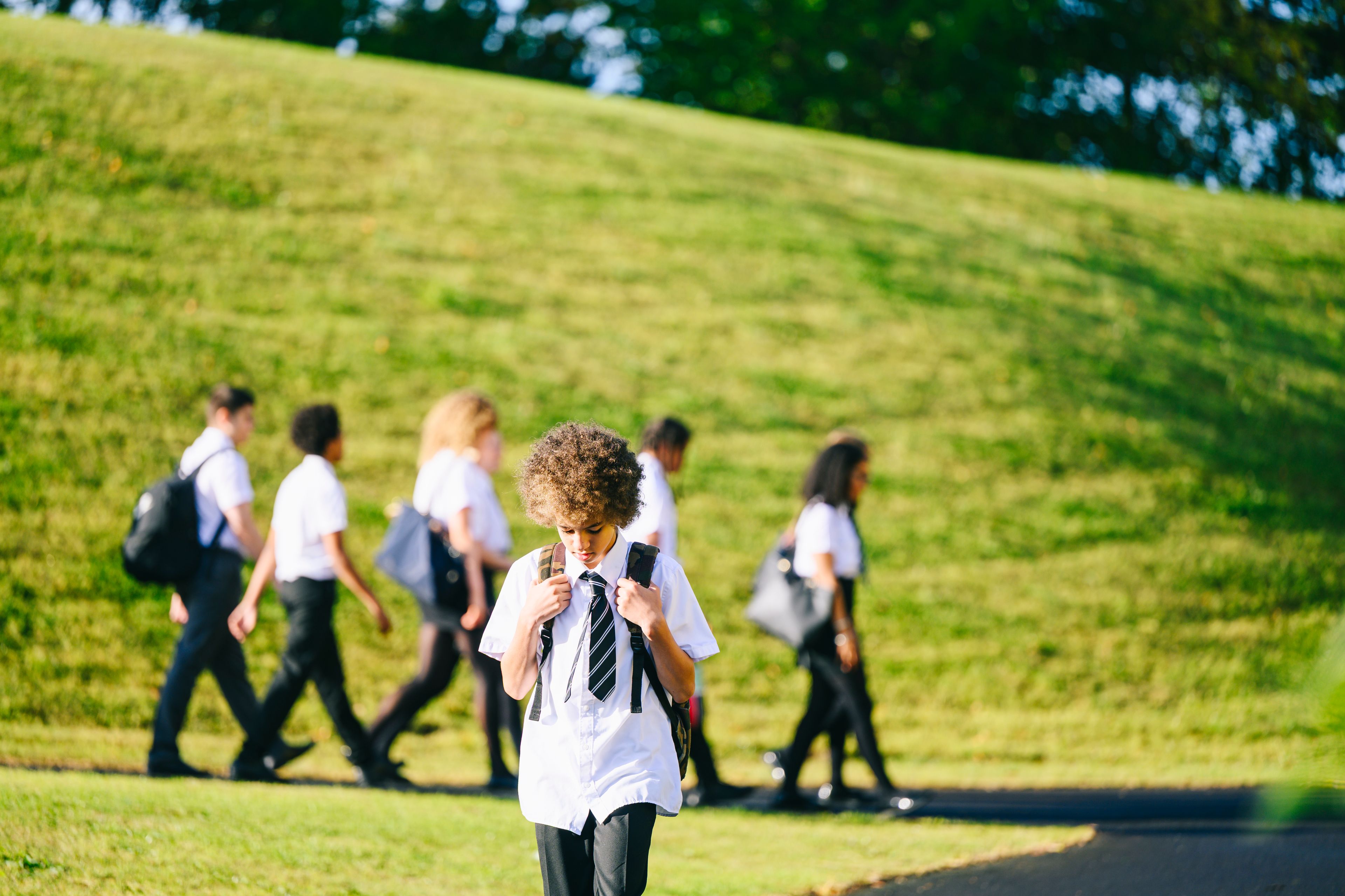 An image of school children walking up steps