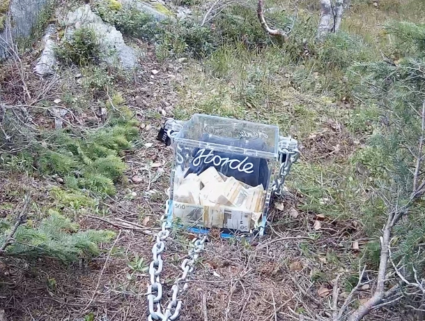 Slik ser en drøy million i skogen ut