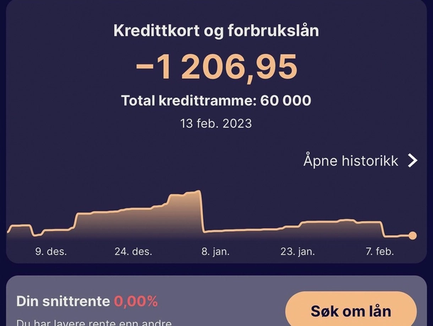 Gjeldshistorikk