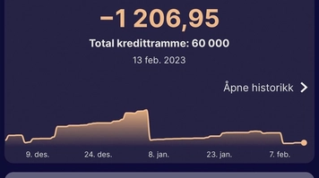 Kampanjebilde