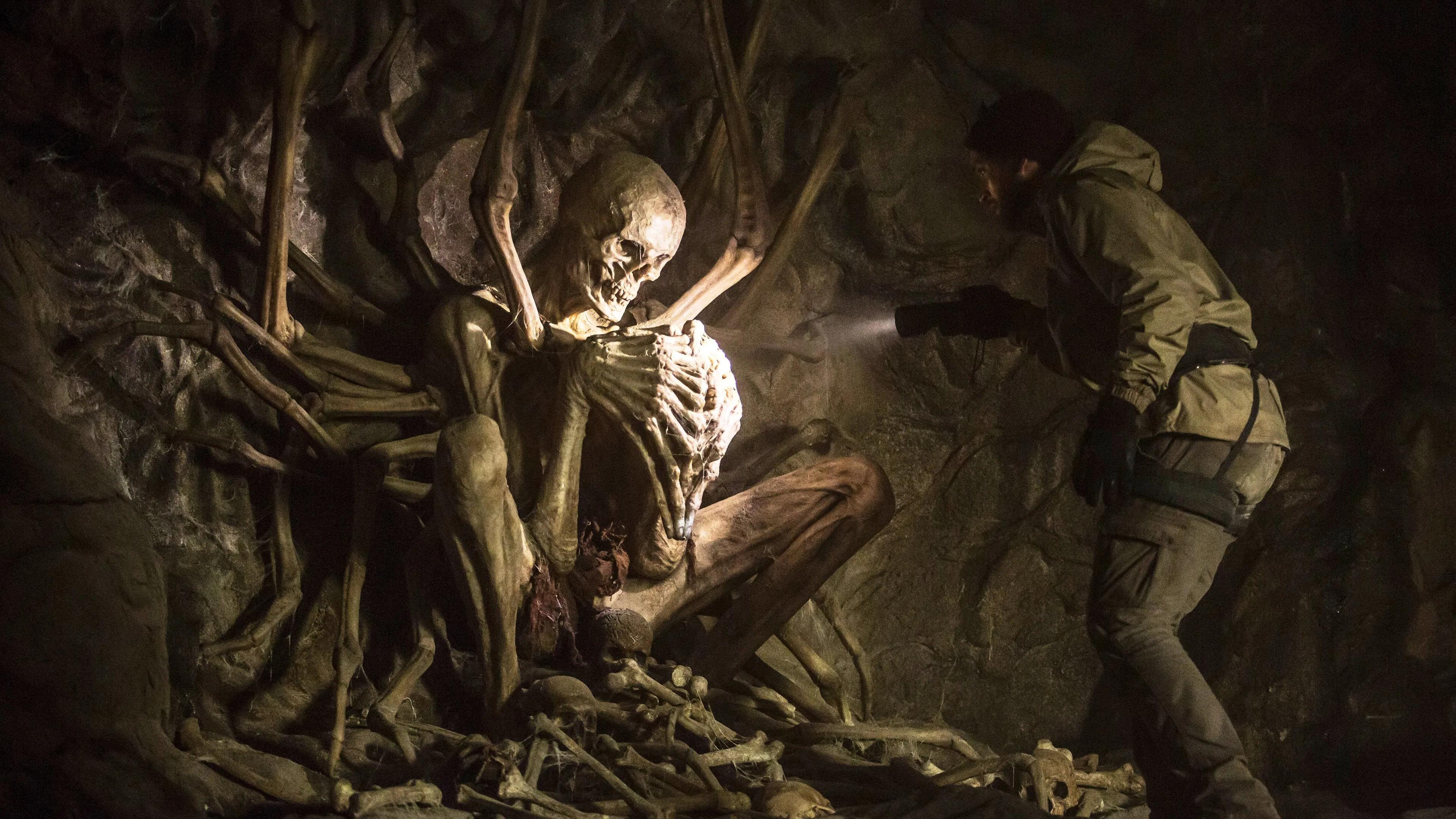 Top 20 Best Folk Horror Movies Of The 21st Century So Far
