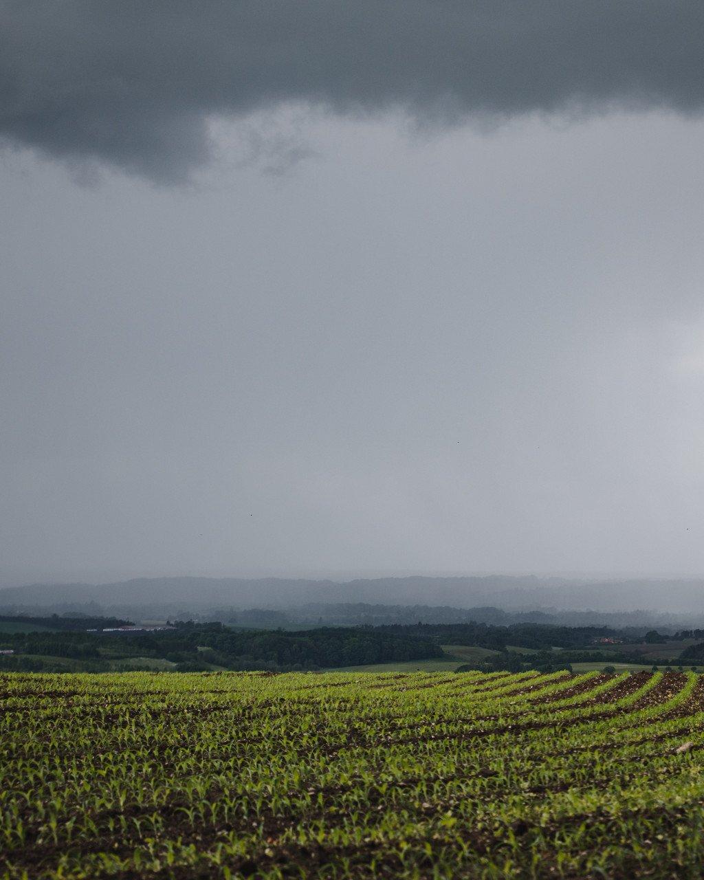 Storm clouds over vineyard landscape with rolling hills in distance