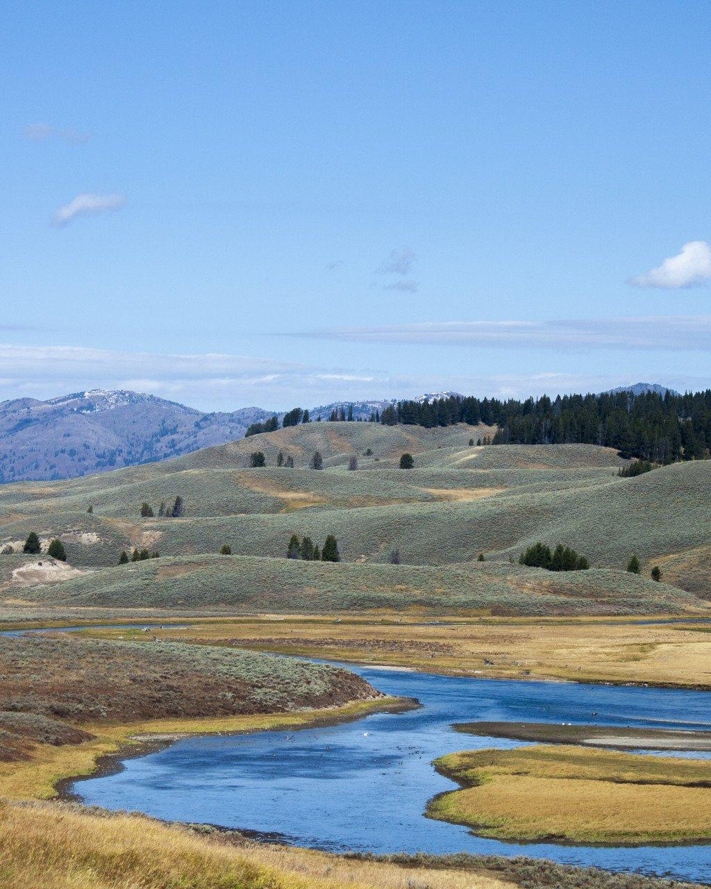 Mountain landscape with winding river through golden grasslands and forested hills under blue sky