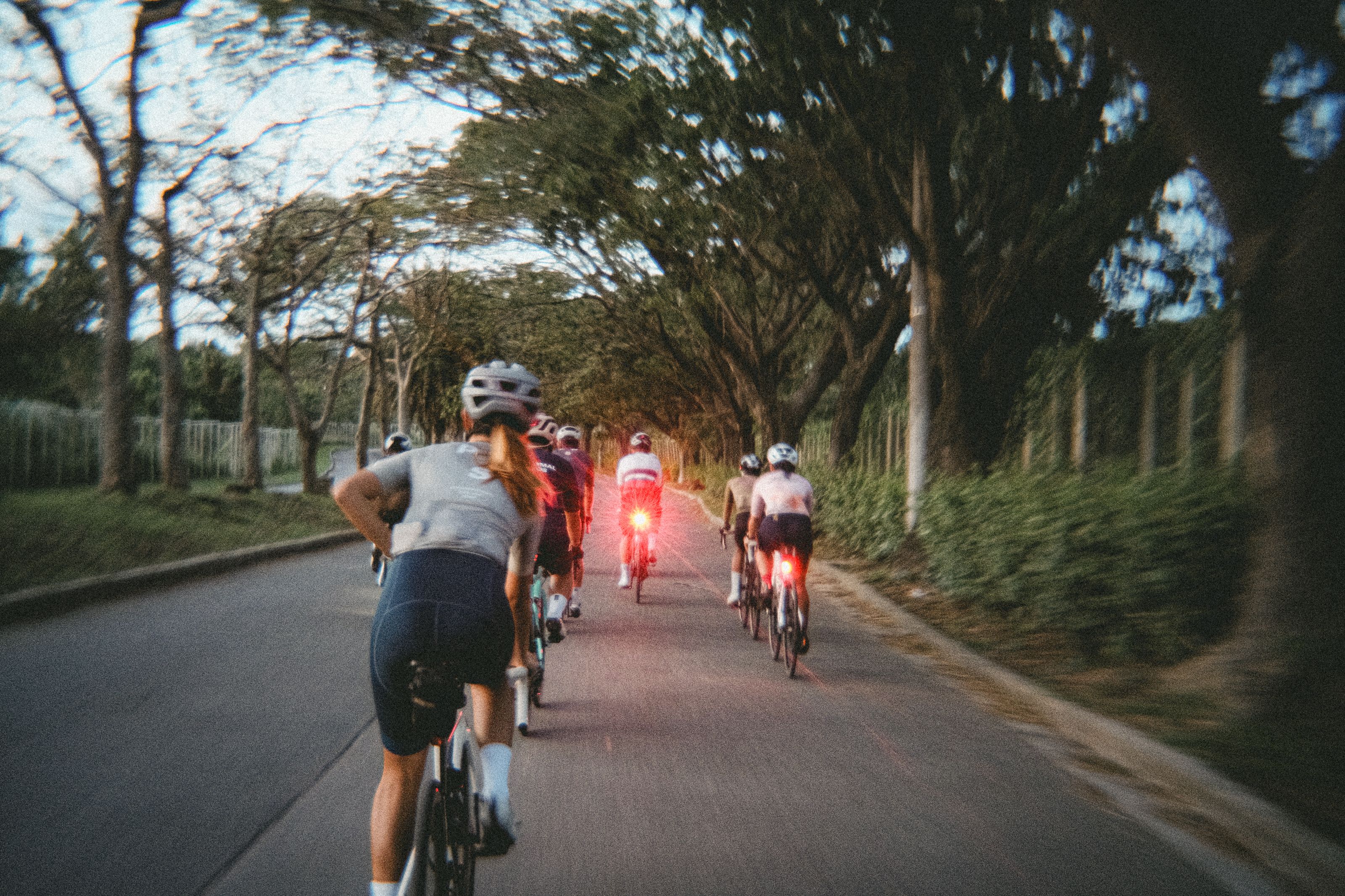 Cyclists riding through tree-lined tunnel at dusk with red tail lights