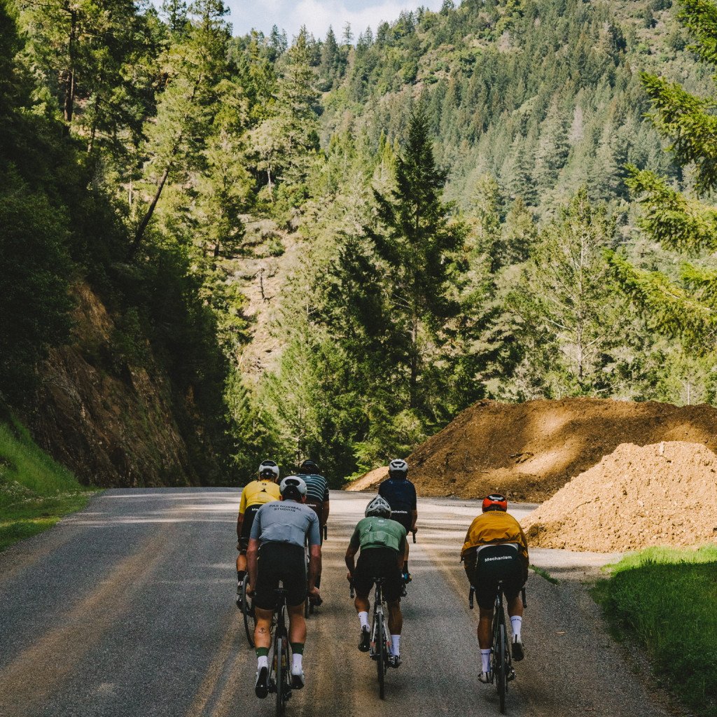 Cyclists riding through forested hillside road in Sonoma, California wearing colorful cycling jerseys