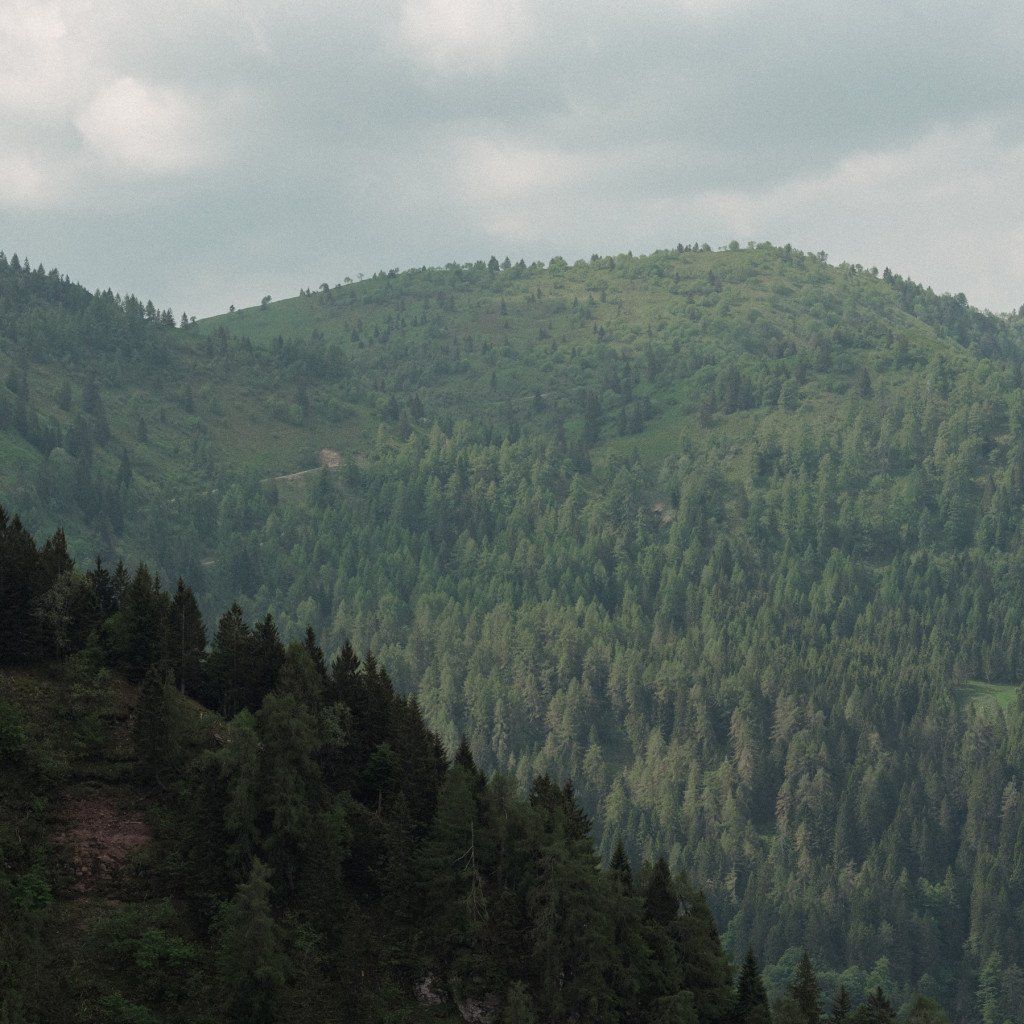 Forested mountain landscape with rolling green hills under cloudy sky