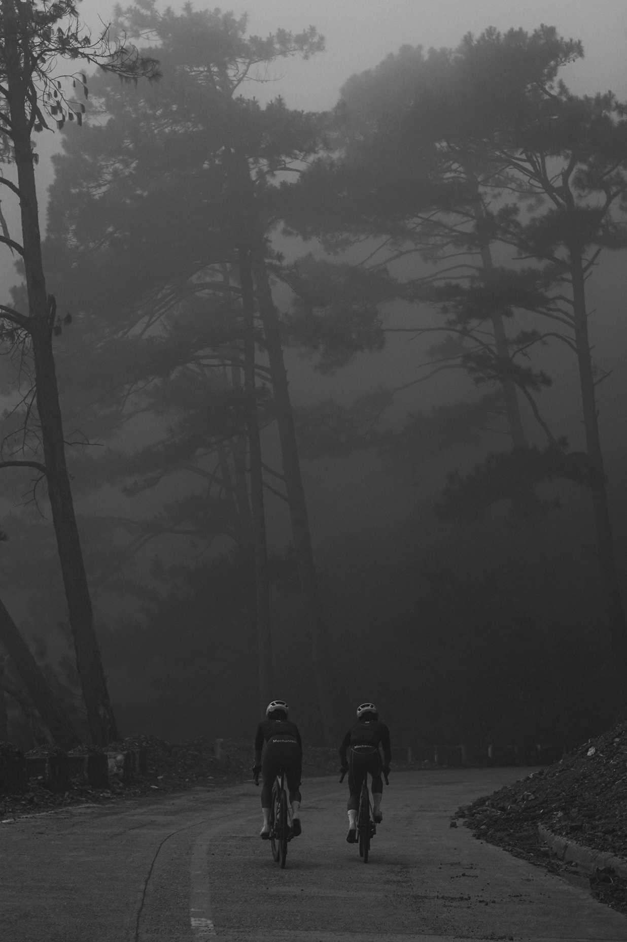 Two cyclists riding on misty forest road with bare trees