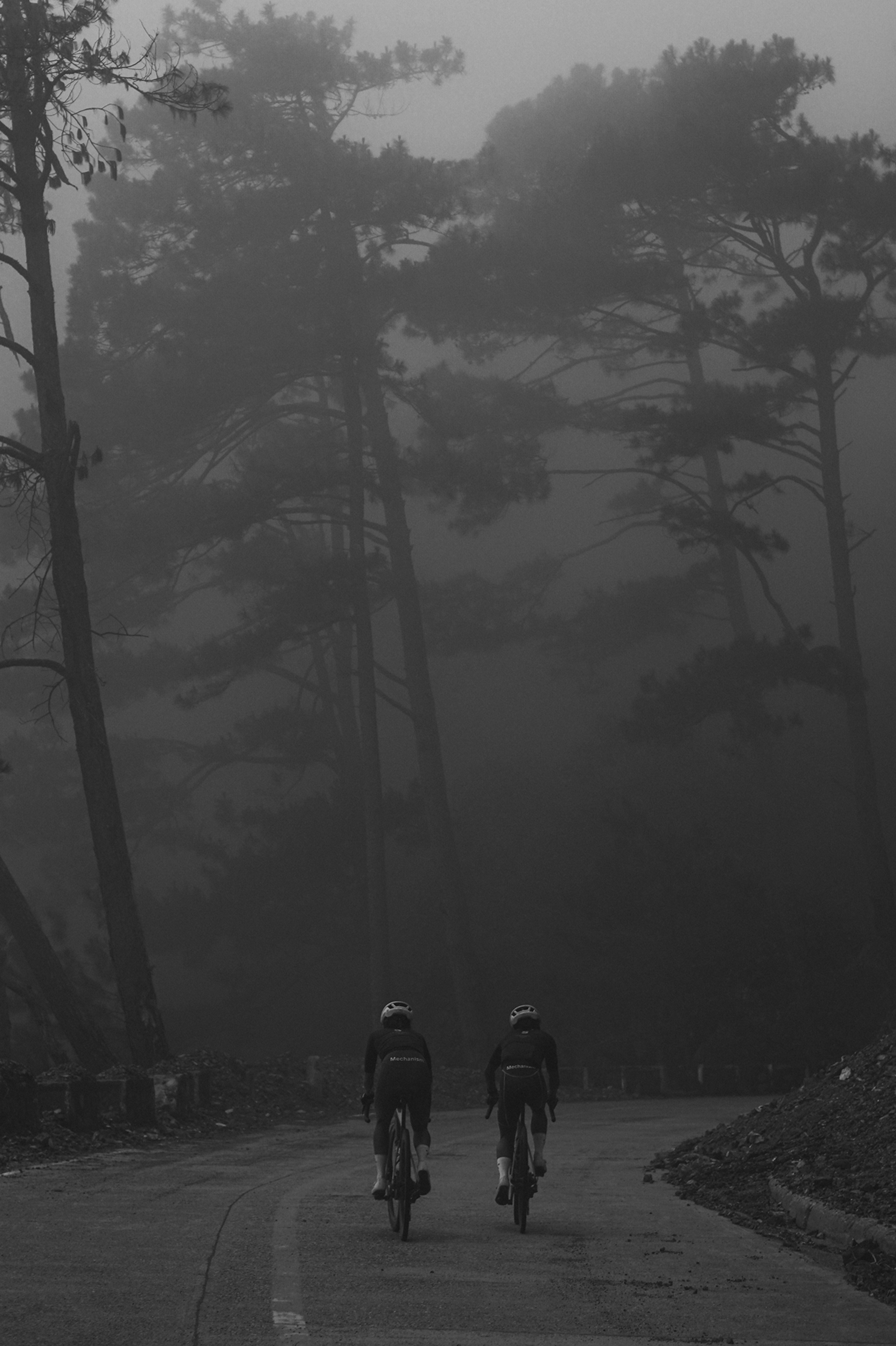 Two cyclists riding on misty forest road with bare trees