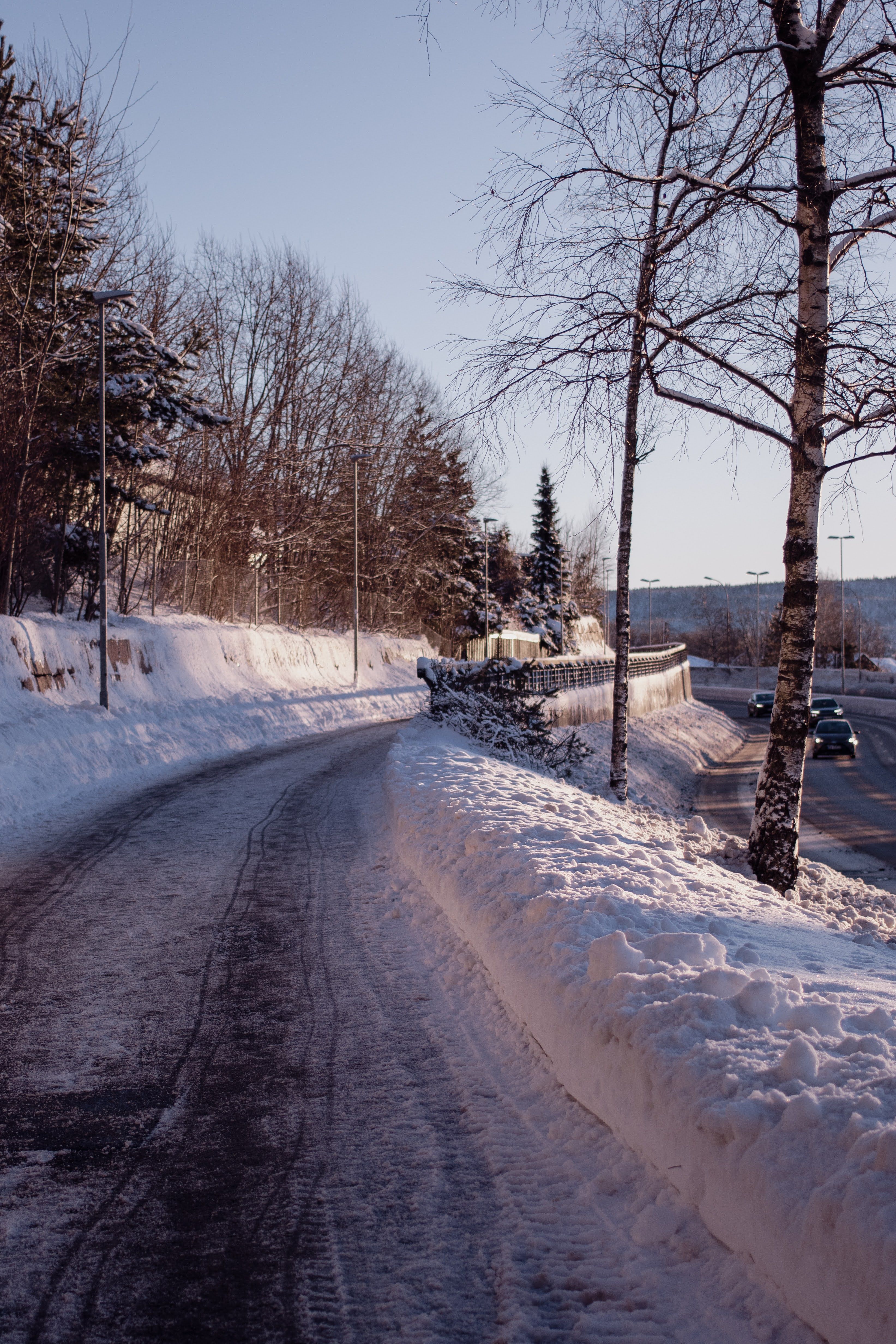 Snow-covered road with bare trees and winter landscape at dusk
