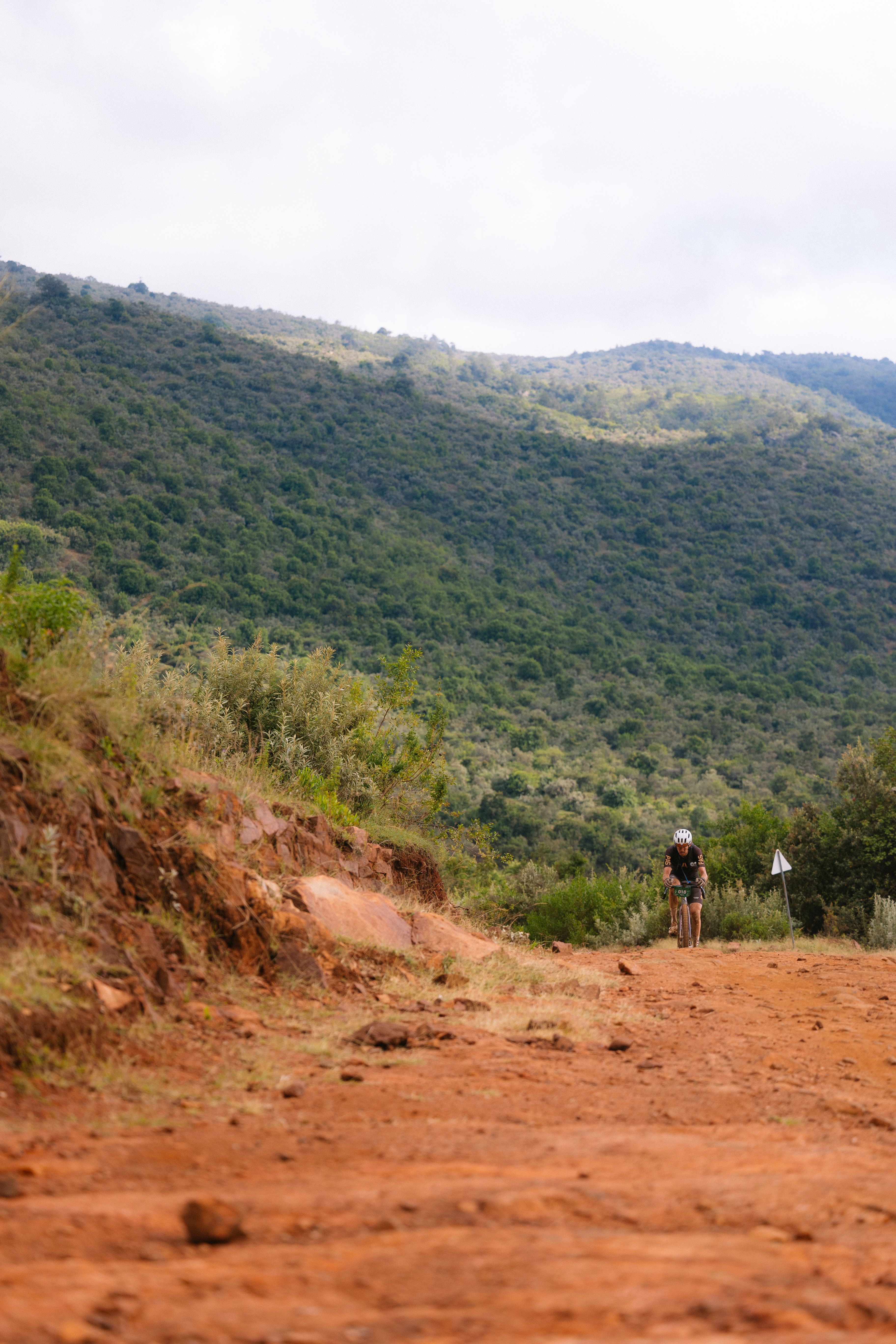 Cyclist on dirt trail through mountainous terrain with forested hills in background