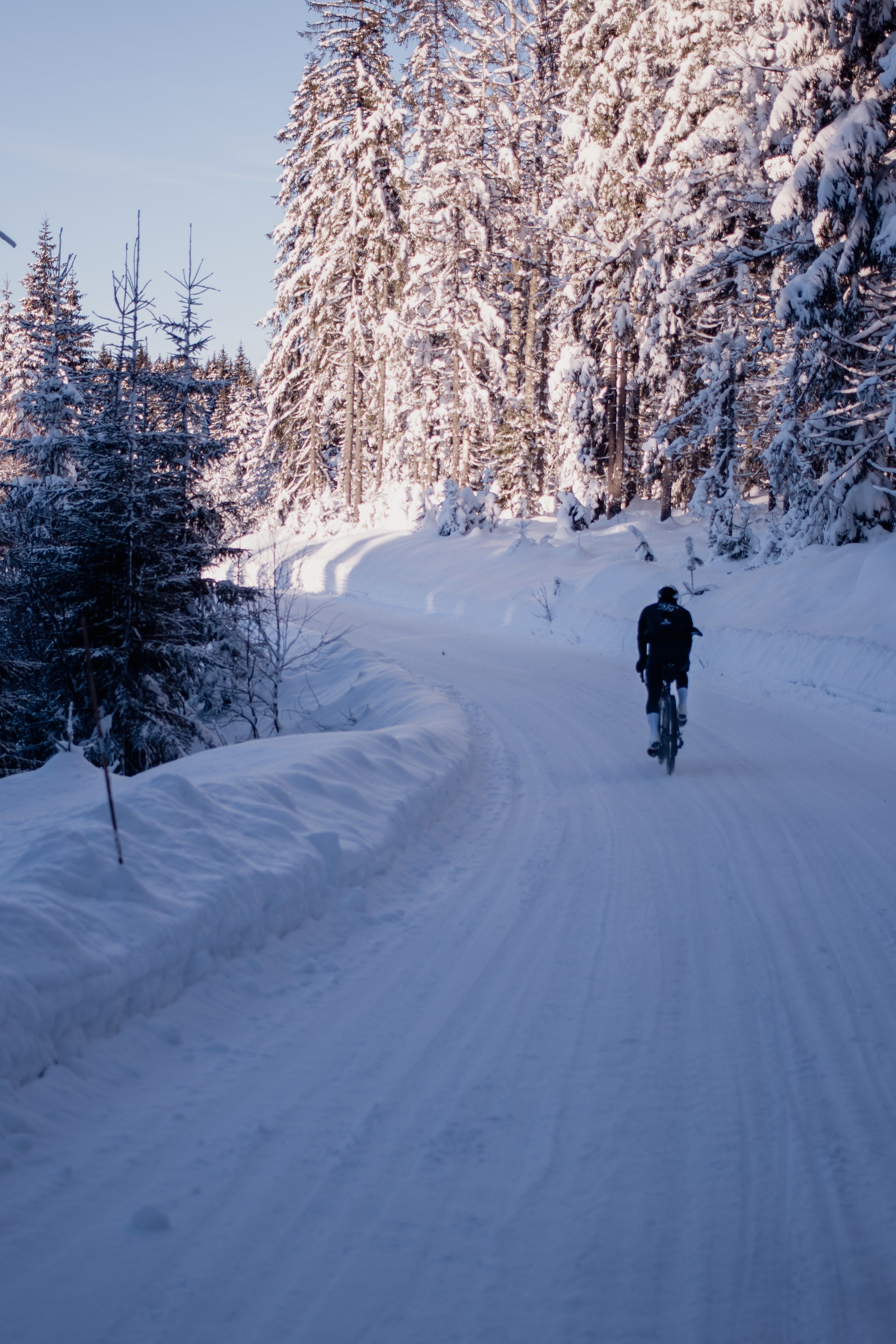 Cyclist riding through snowy forest path with frost-covered trees