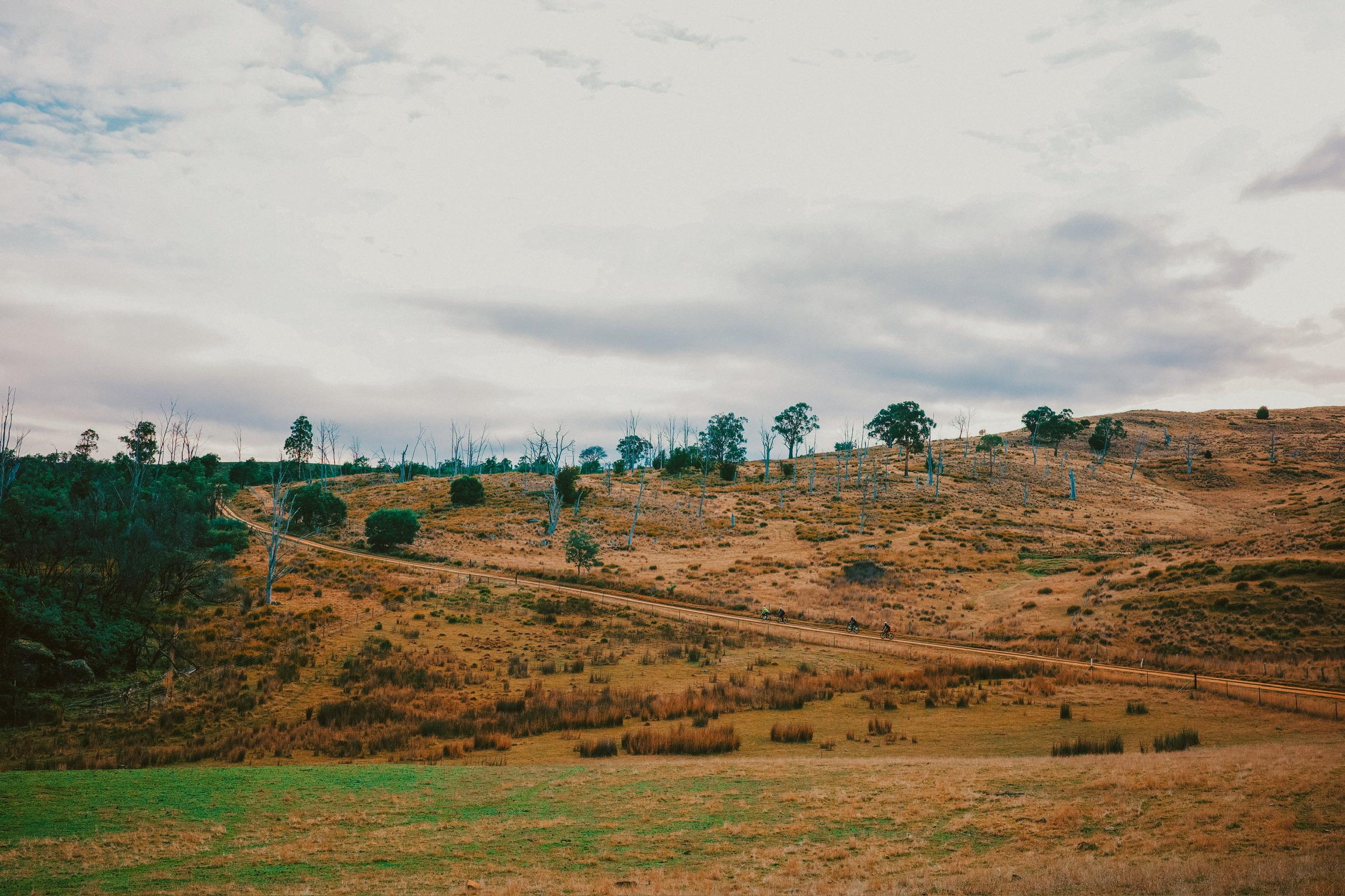 Rolling hills and countryside with winding dirt road through Tasmanian landscape