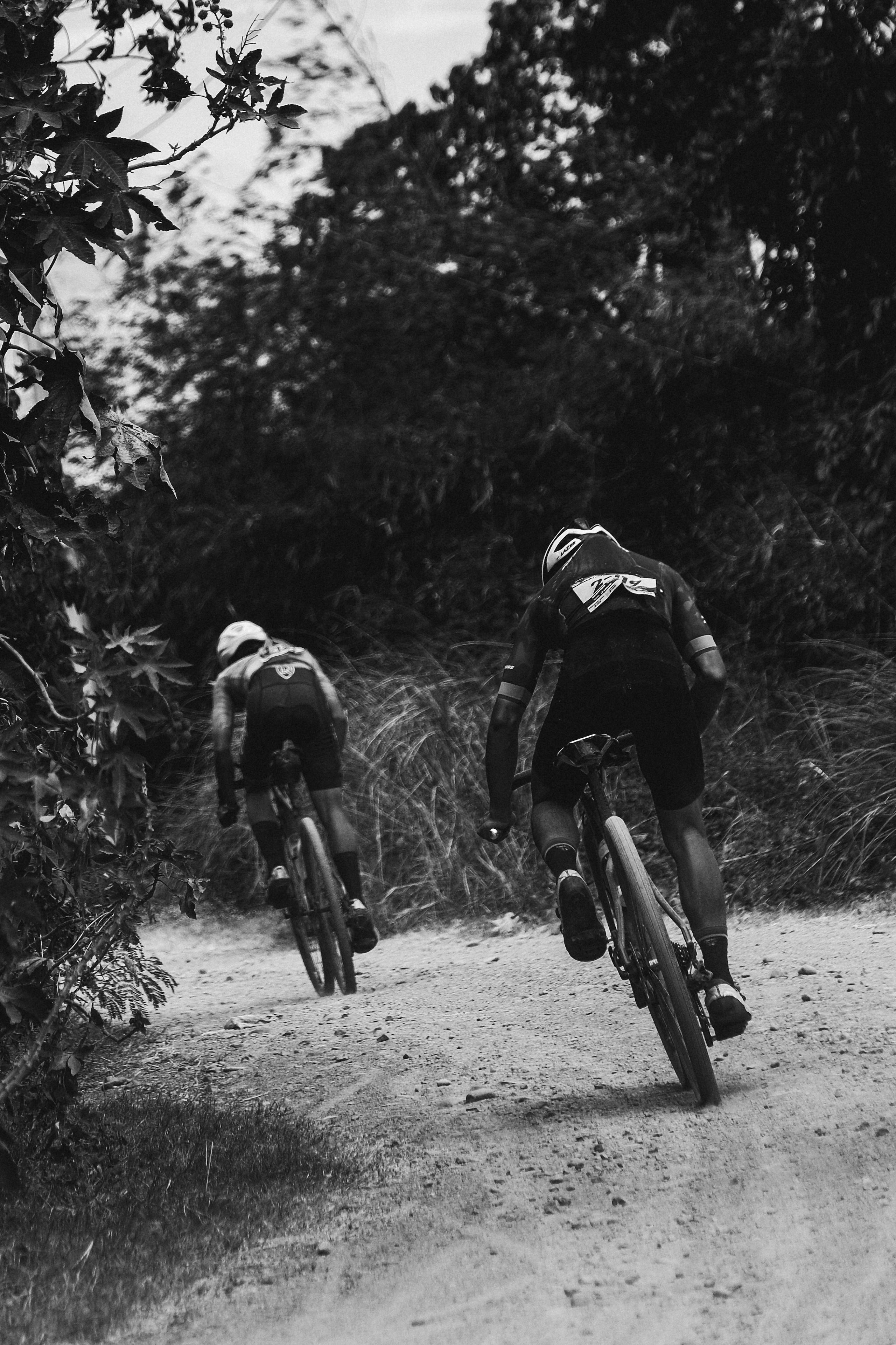 Two cyclists racing on gravel road through wooded terrain in black and white