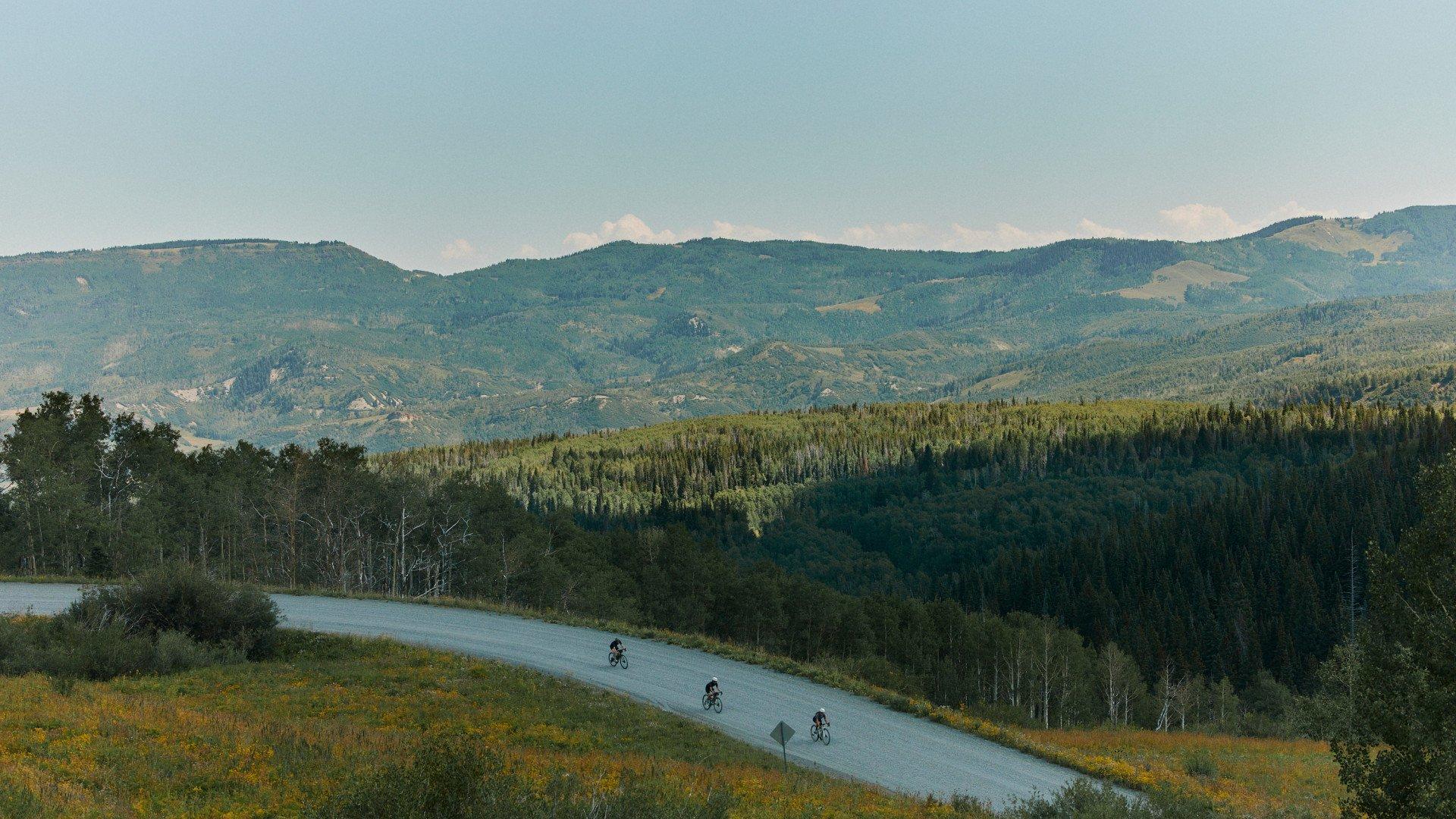 Three cyclists riding through mountain landscape with forested hills and winding road