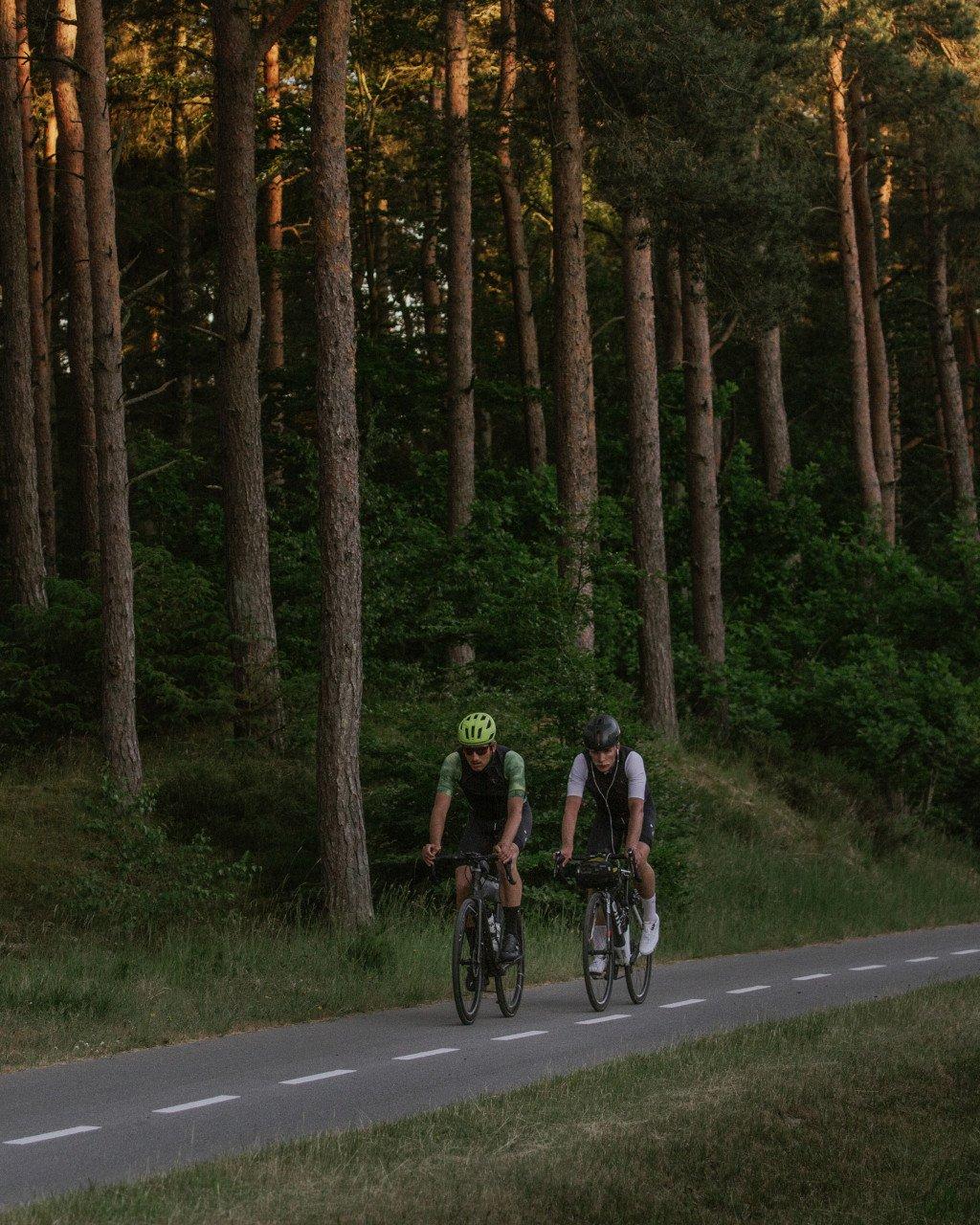 Two cyclists riding through forest on country road during golden hour