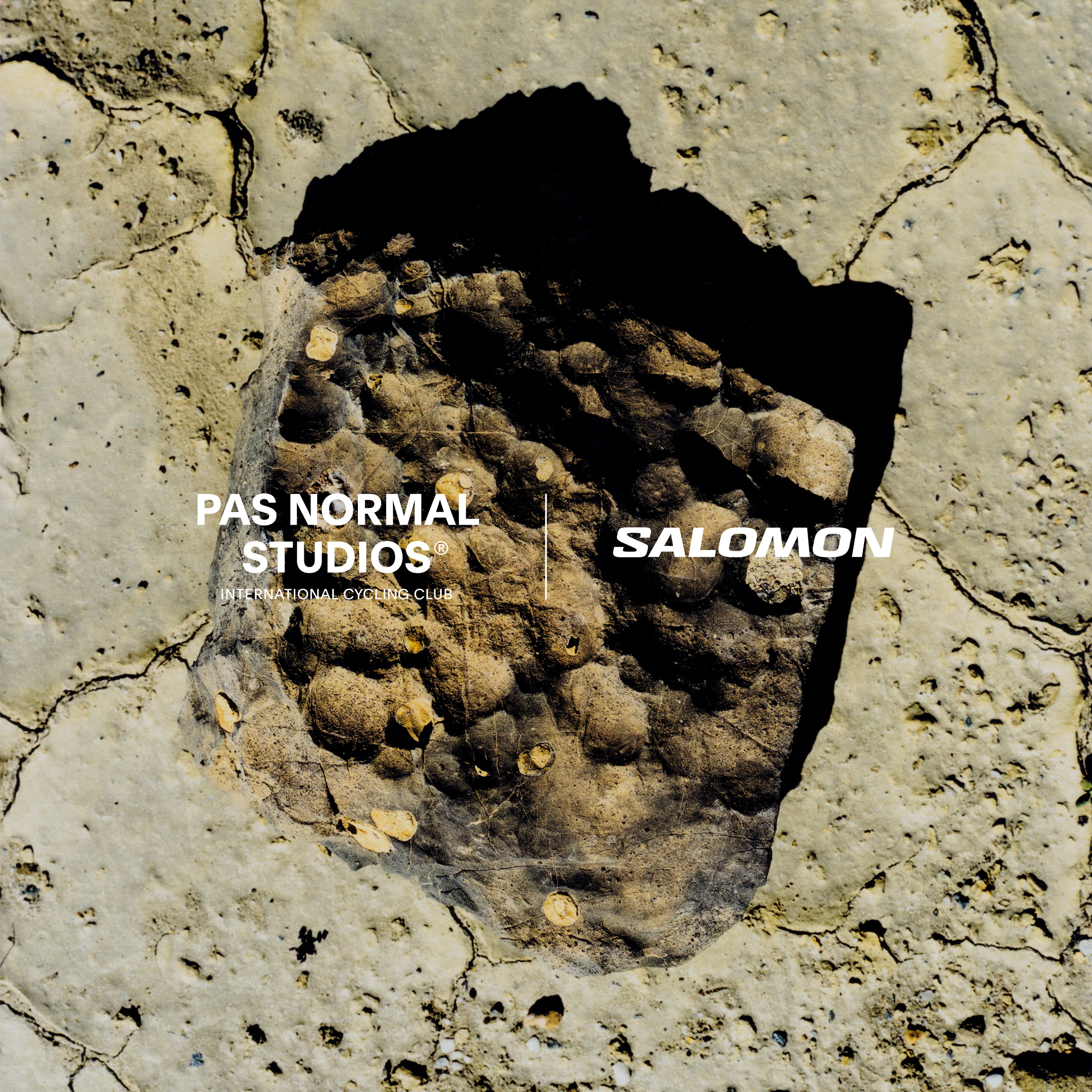 Cracked stone surface with brand logos announcing cycling and outdoor gear collaboration