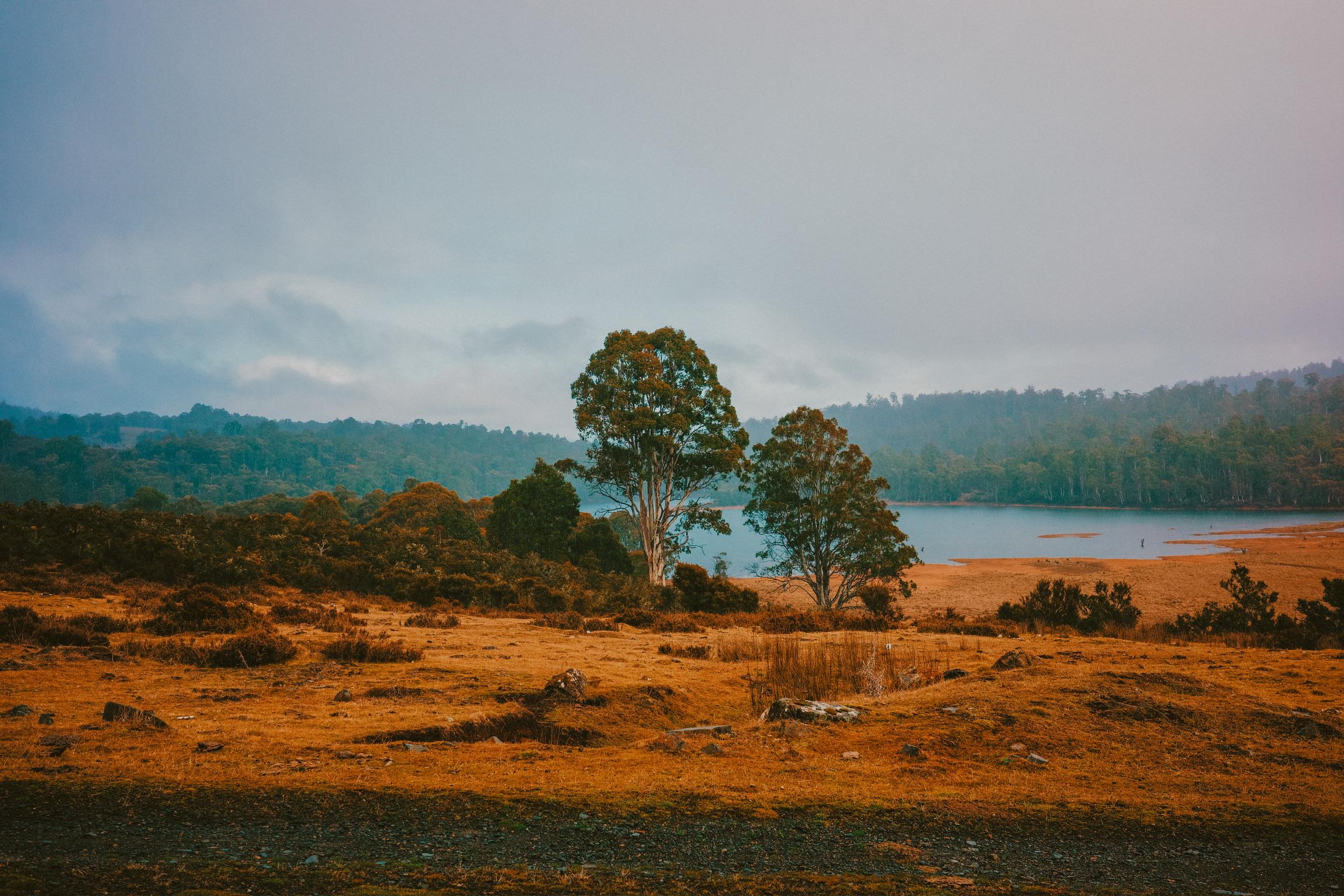 Rugged Tasmanian landscape with lake, hills and scattered trees under overcast sky