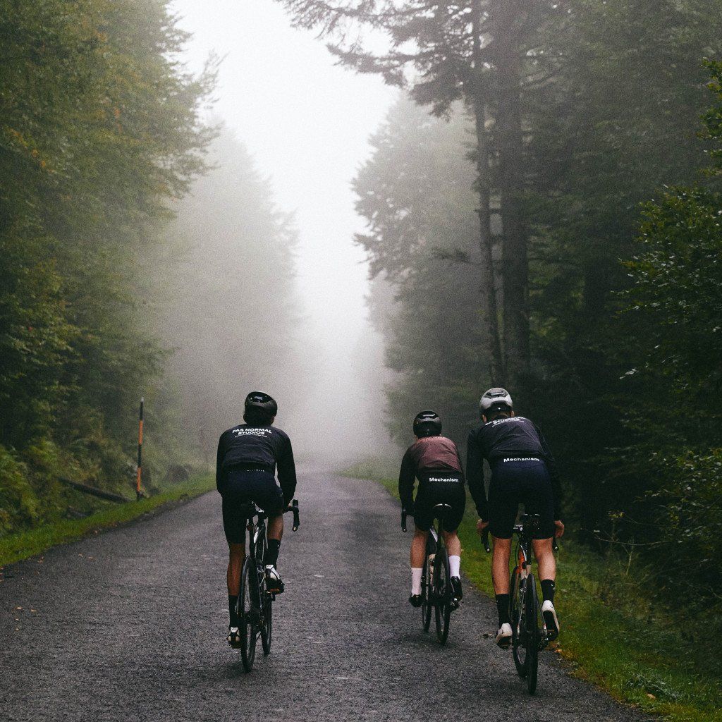Three cyclists wearing Mechanism jerseys riding through misty forest road