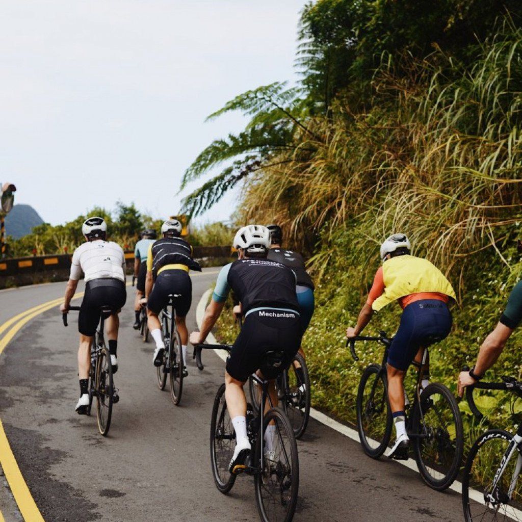 Cyclists in colorful jerseys riding together on tropical road with lush vegetation