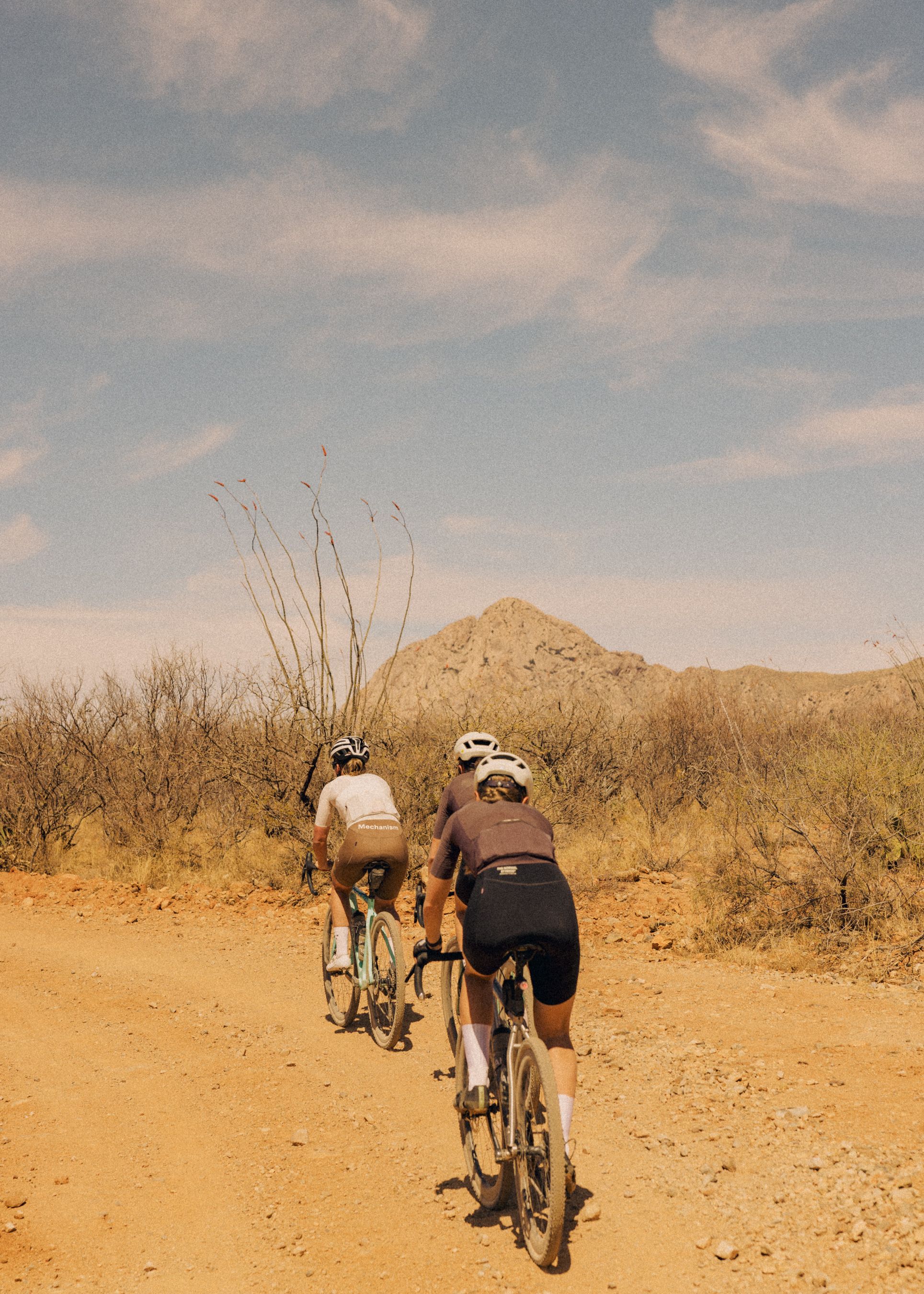 Two cyclists riding through desert landscape with mountains and cacti in background