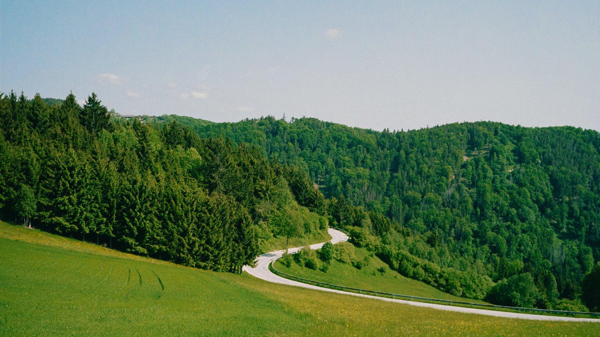 Winding road through green hills and forested landscape