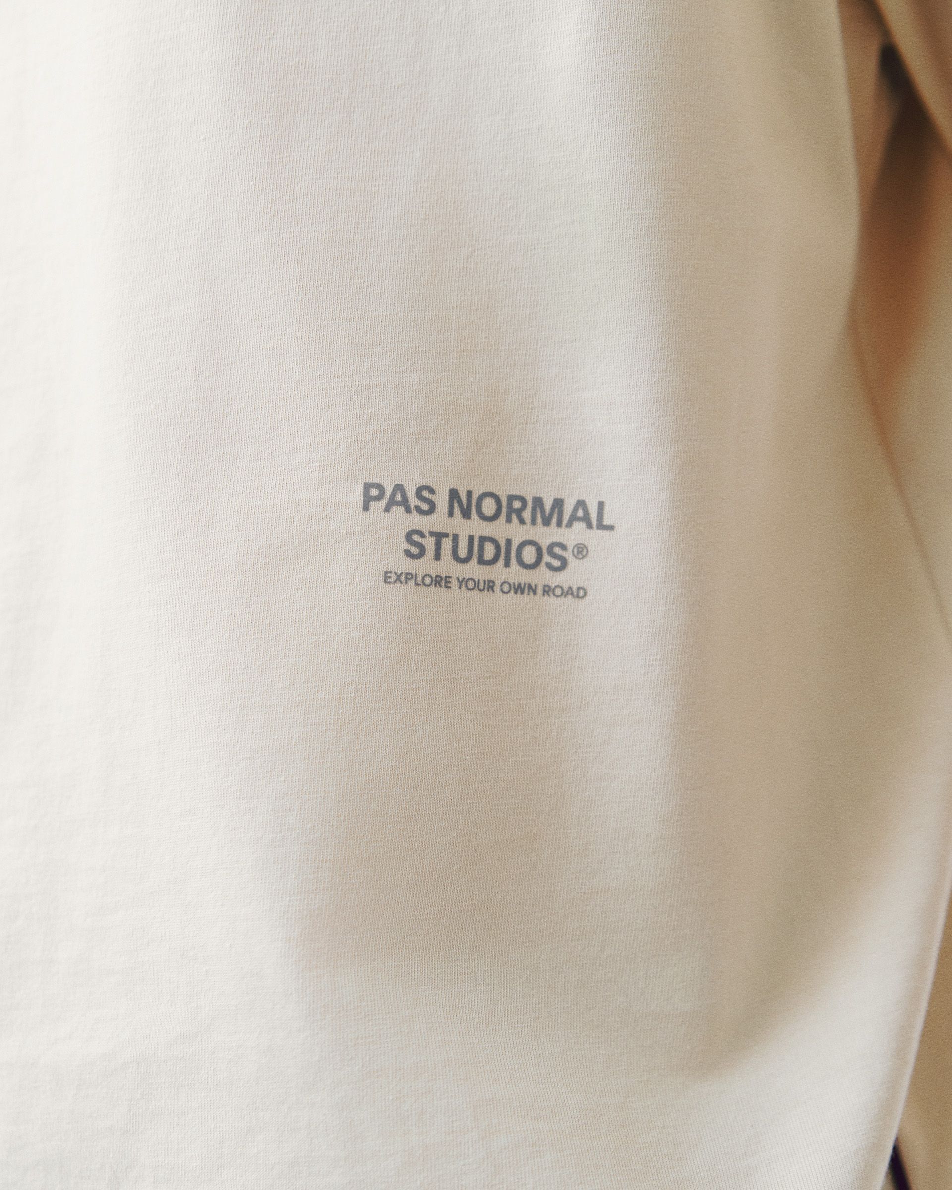 Bone Off-Race t-shirt, detail view showing grey chest print