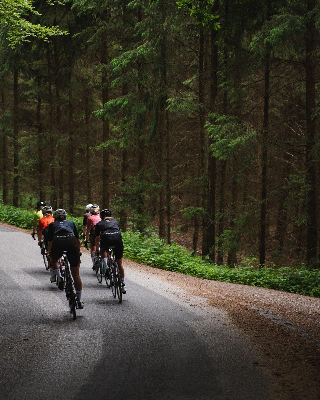 Group of cyclists in colorful jerseys riding through forest road