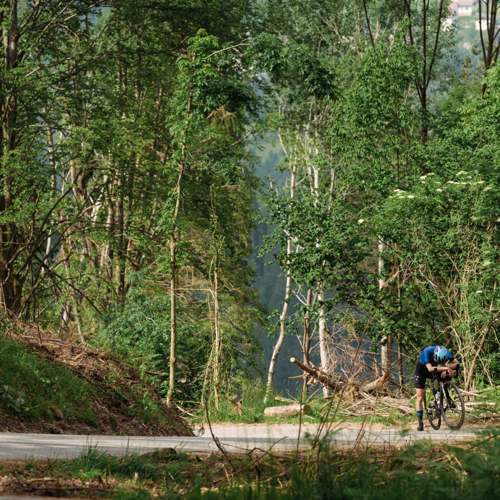 Cyclist in blue jersey riding through lush green forest landscape on rural road
