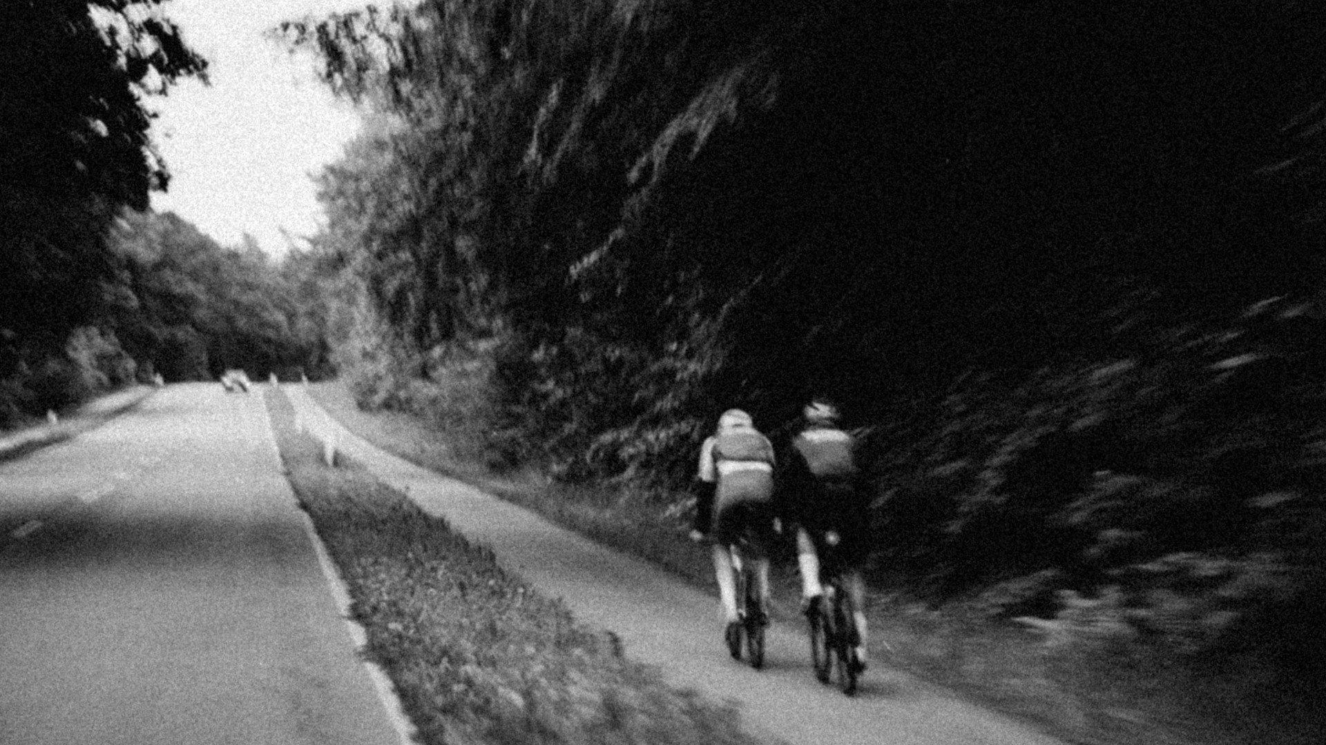 Two cyclists riding on tree-lined road in black and white