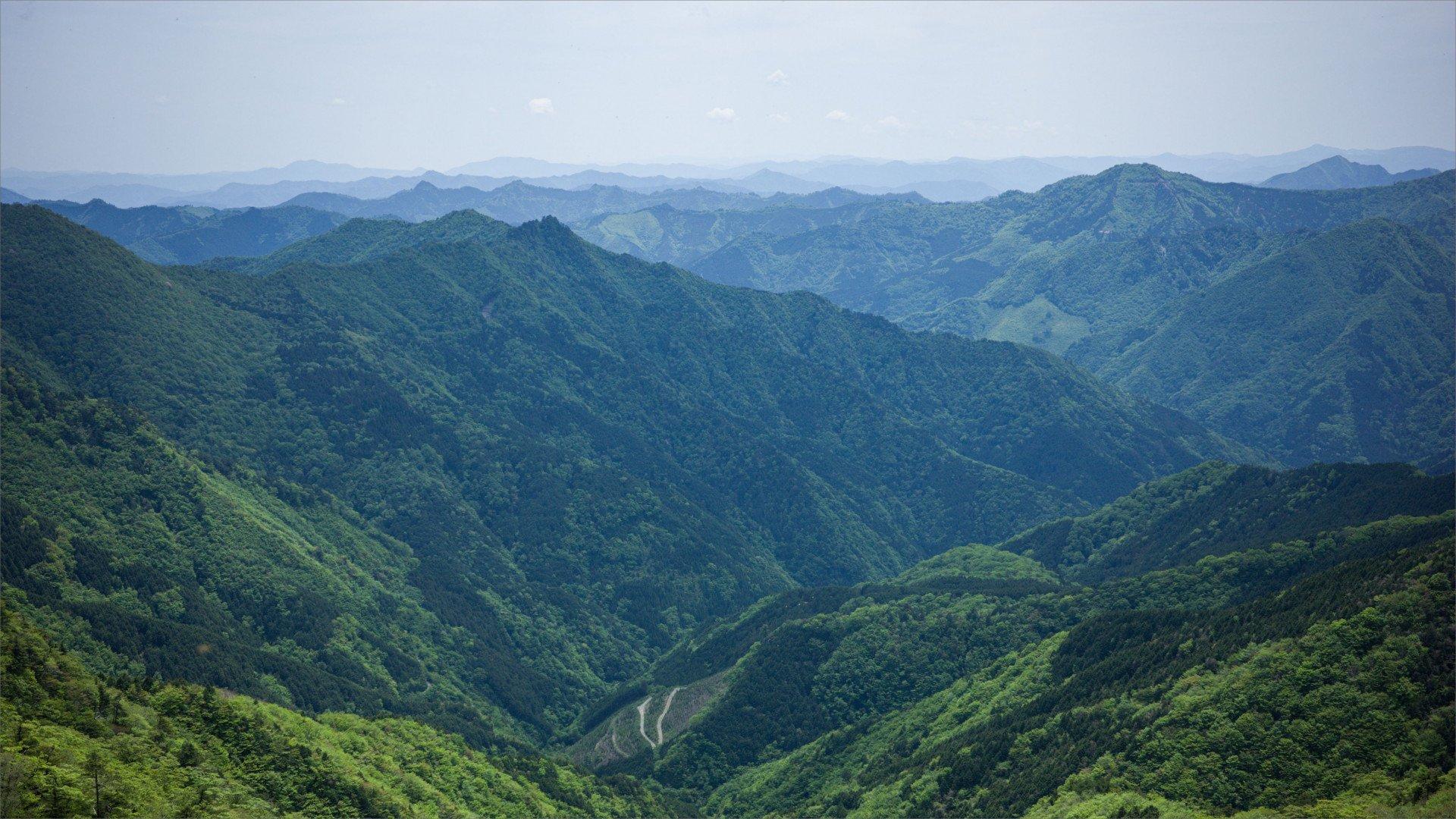 Rolling green mountains and valleys of Shikoku with winding road below