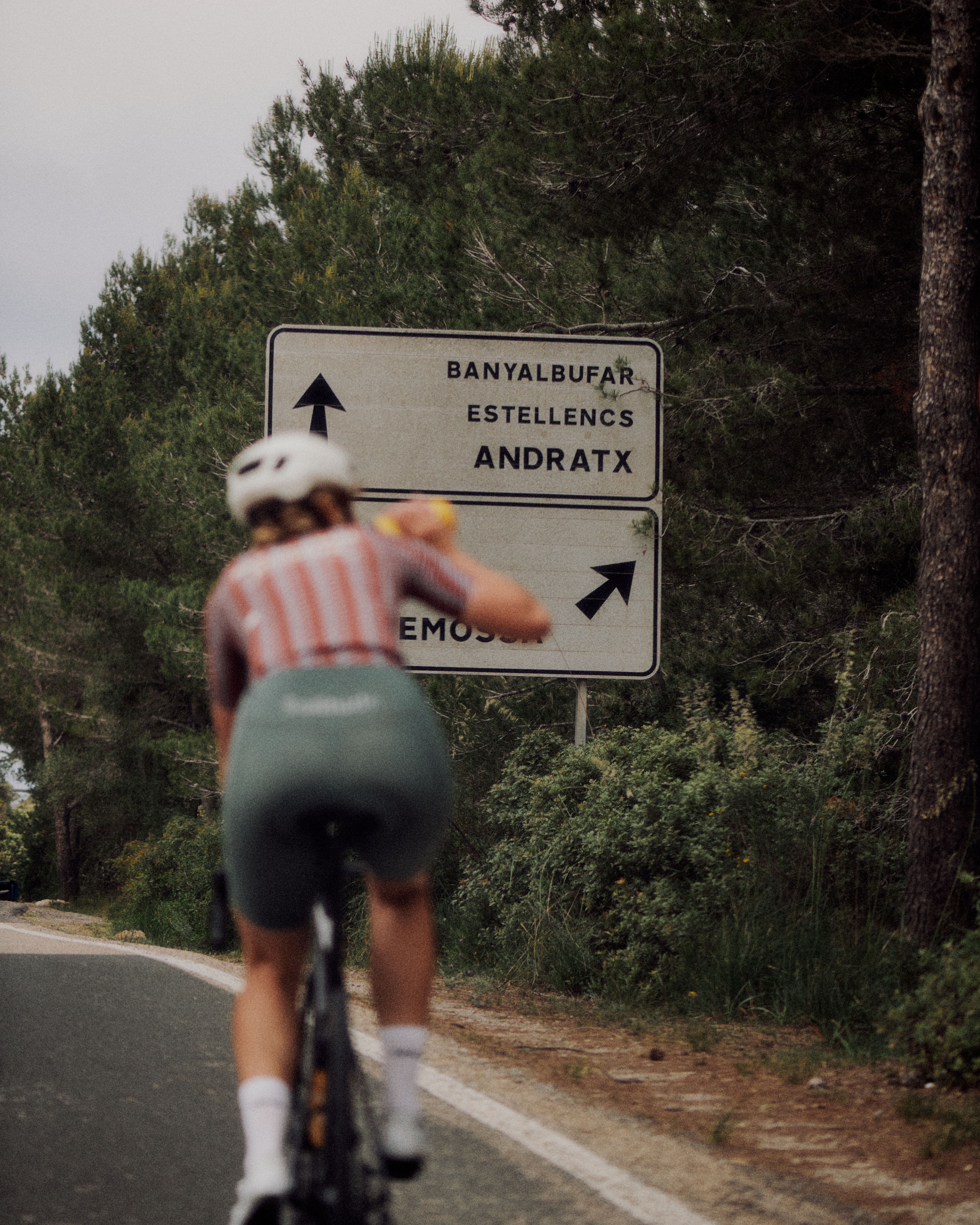 Cyclist in motion blur riding past Spanish road signs among green trees