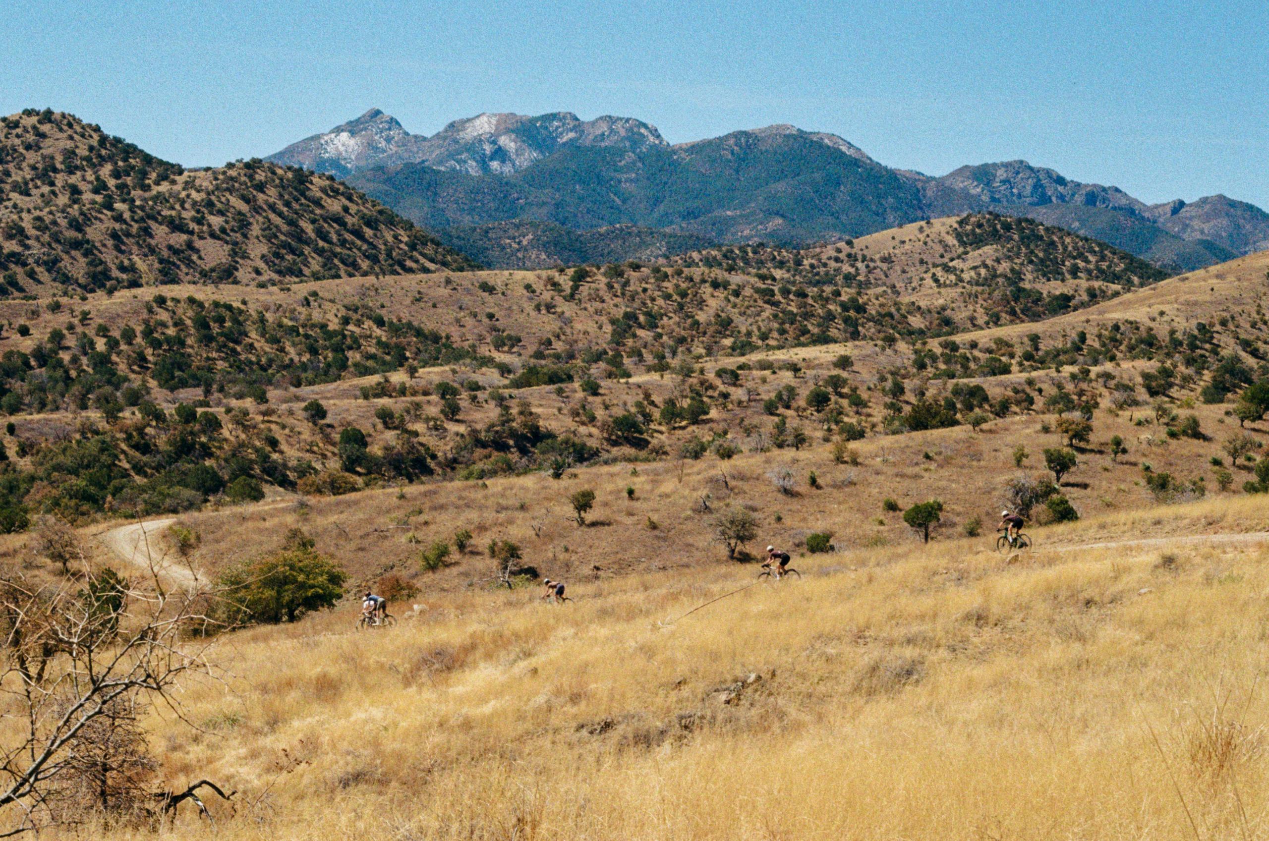 Cyclists riding through golden grasslands with mountain backdrop under blue sky