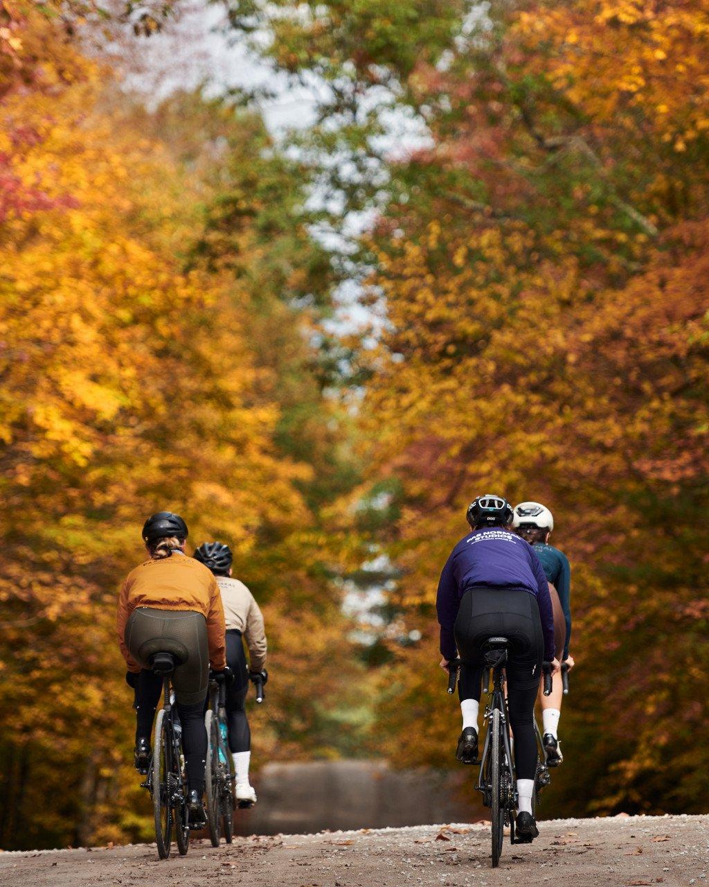 Cyclists riding through autumn forest with golden foliage wearing colorful cycling apparel