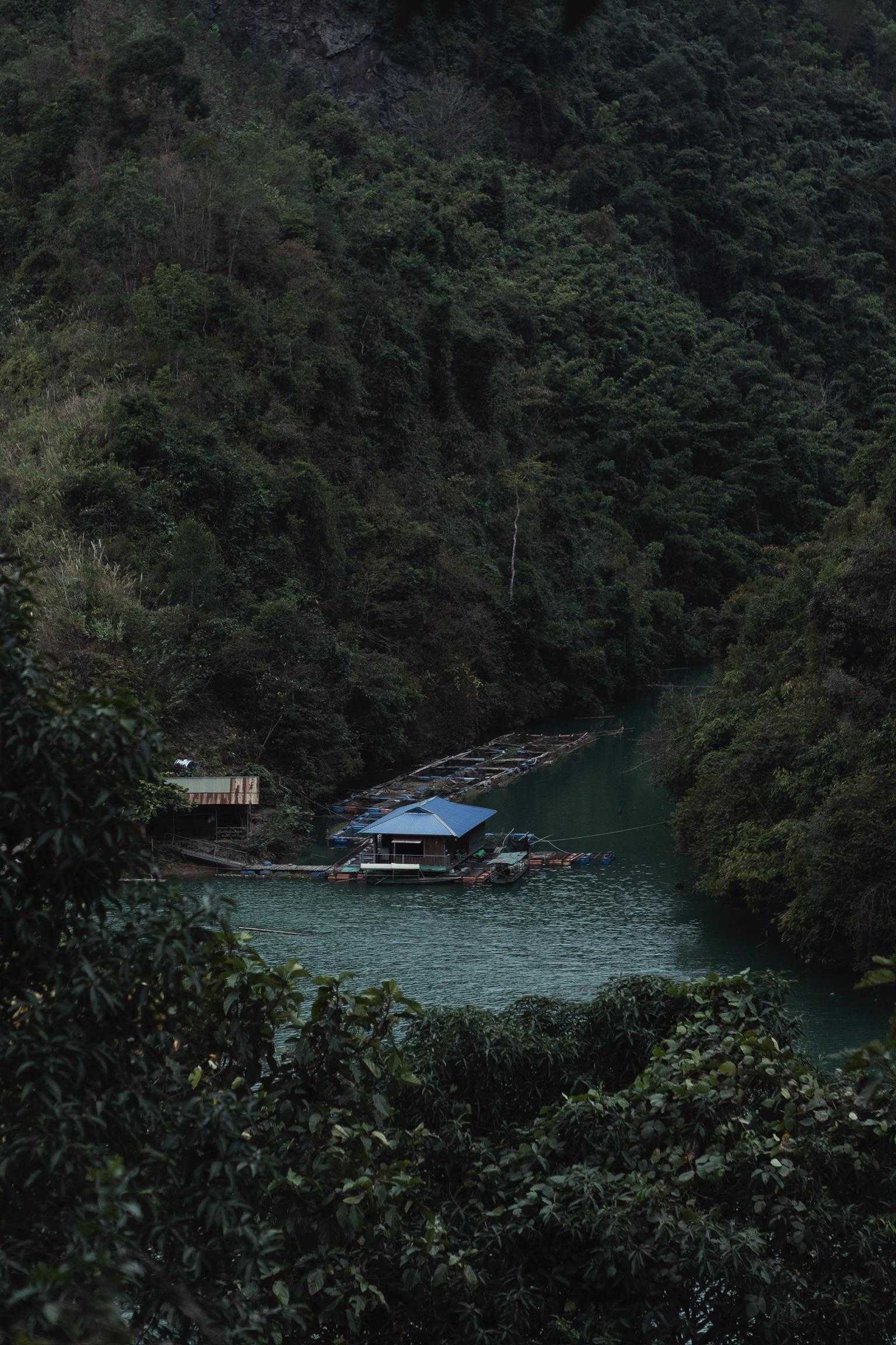 Dense green forest hillside with floating house and dock on dark water below