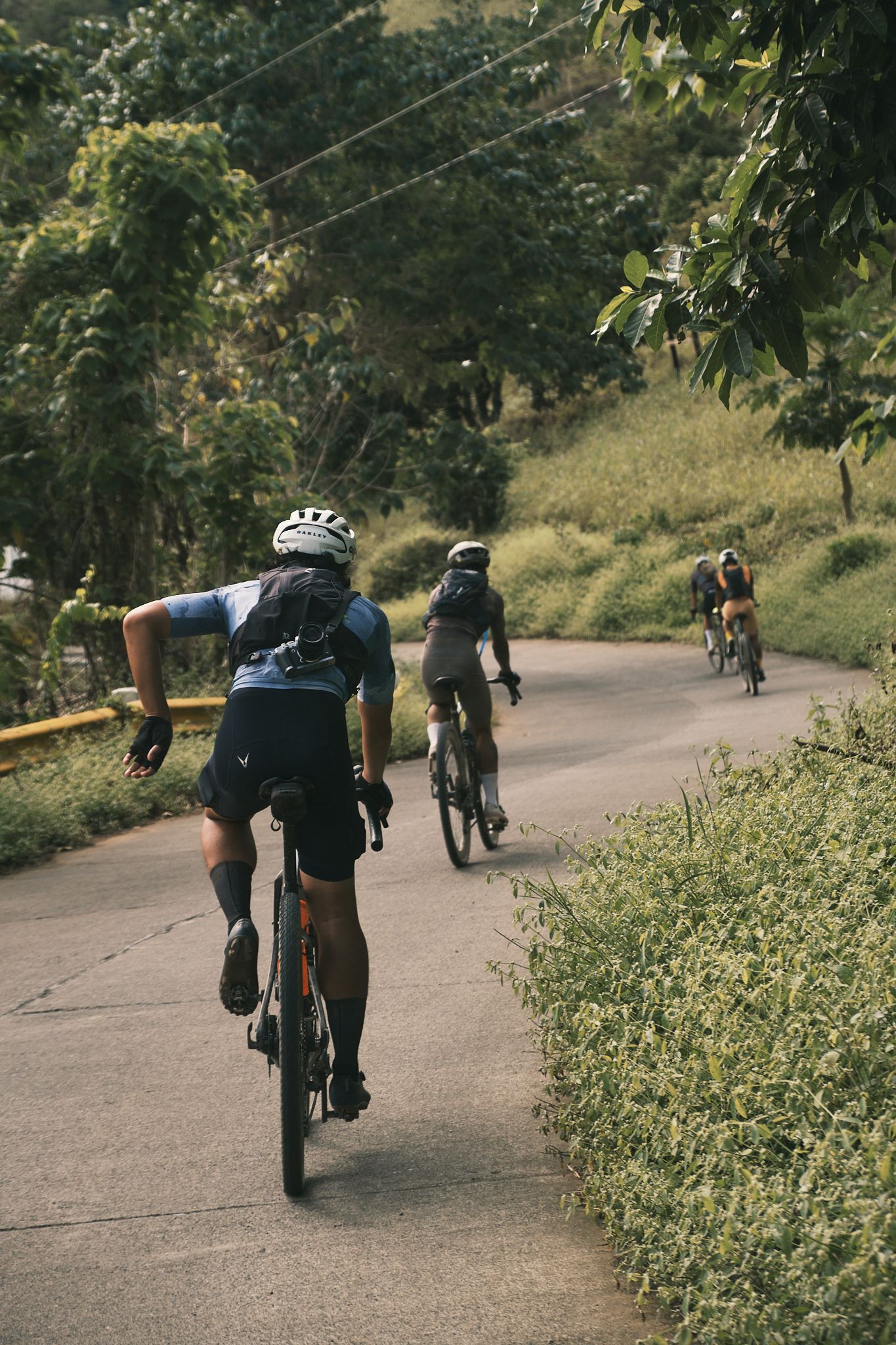Cyclists riding on paved road through lush countryside landscape