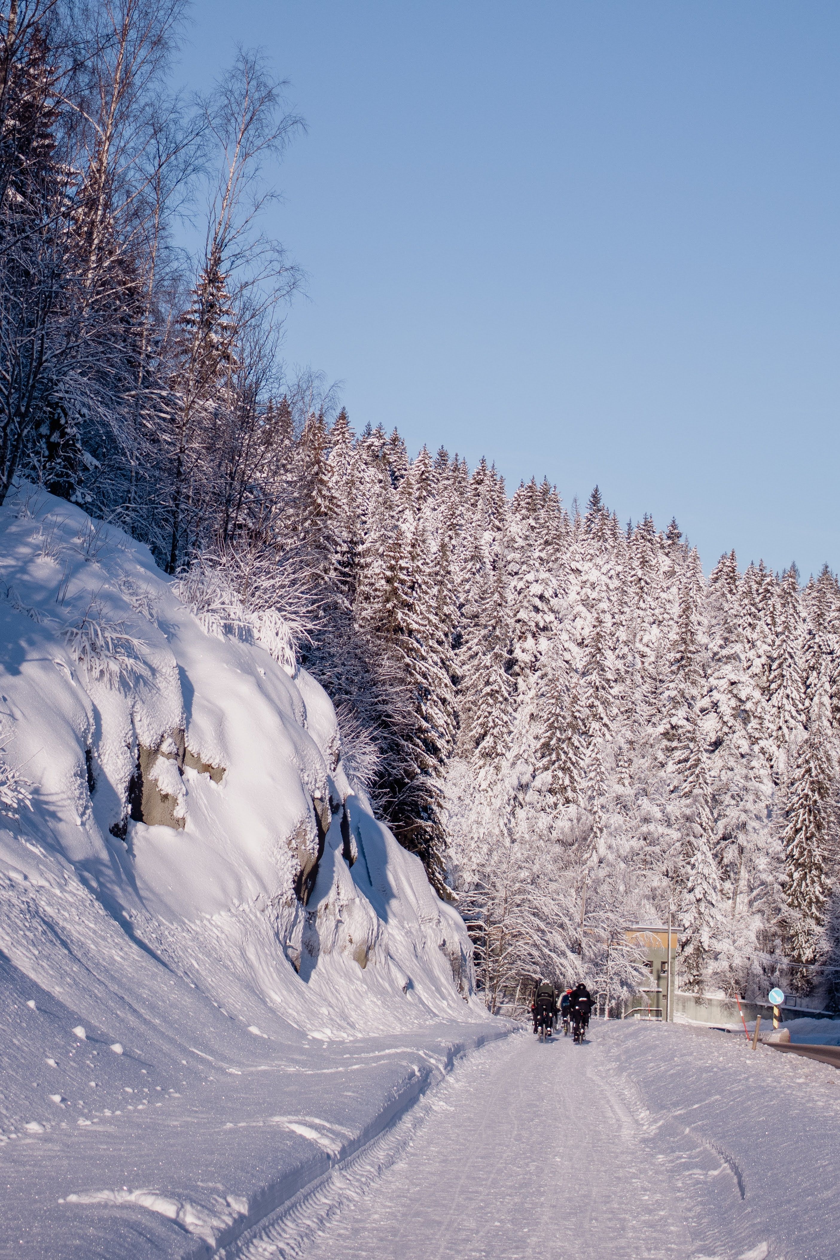 Cyclists riding on snow-covered mountain road through frost-covered forest
