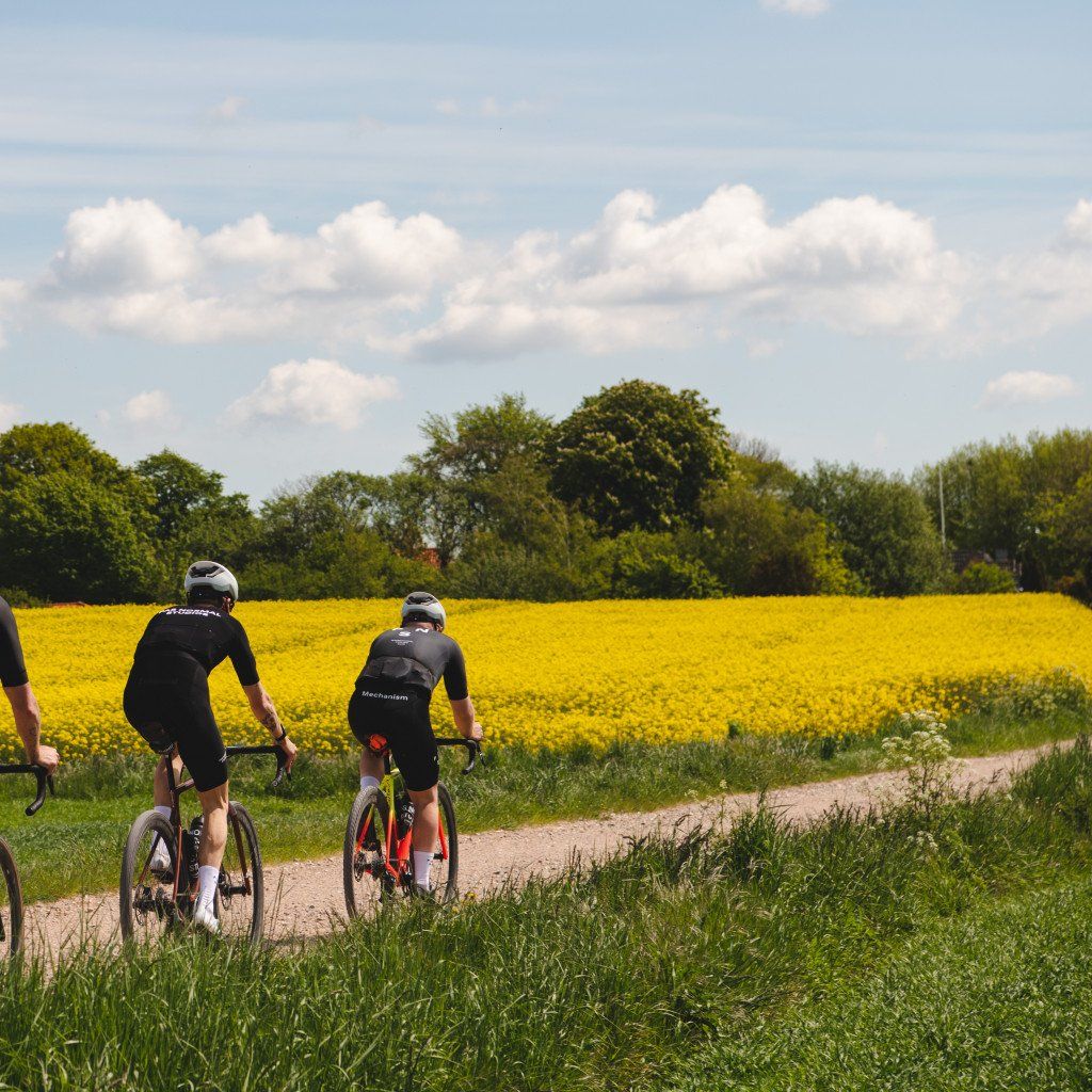 Two cyclists in black cycling kits riding past vibrant yellow field on country road