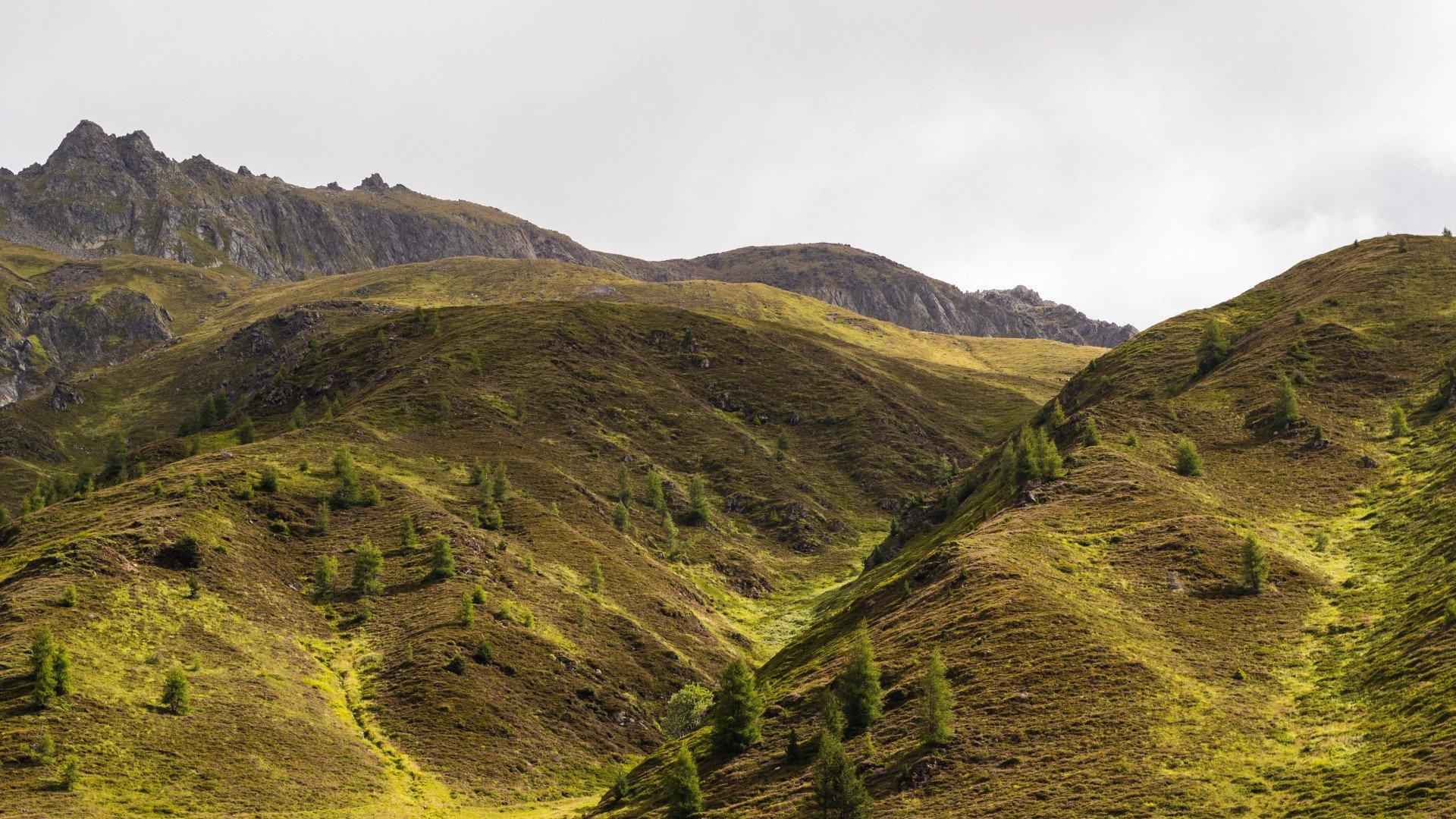 Rolling green hills and mountain landscape with scattered trees under overcast sky