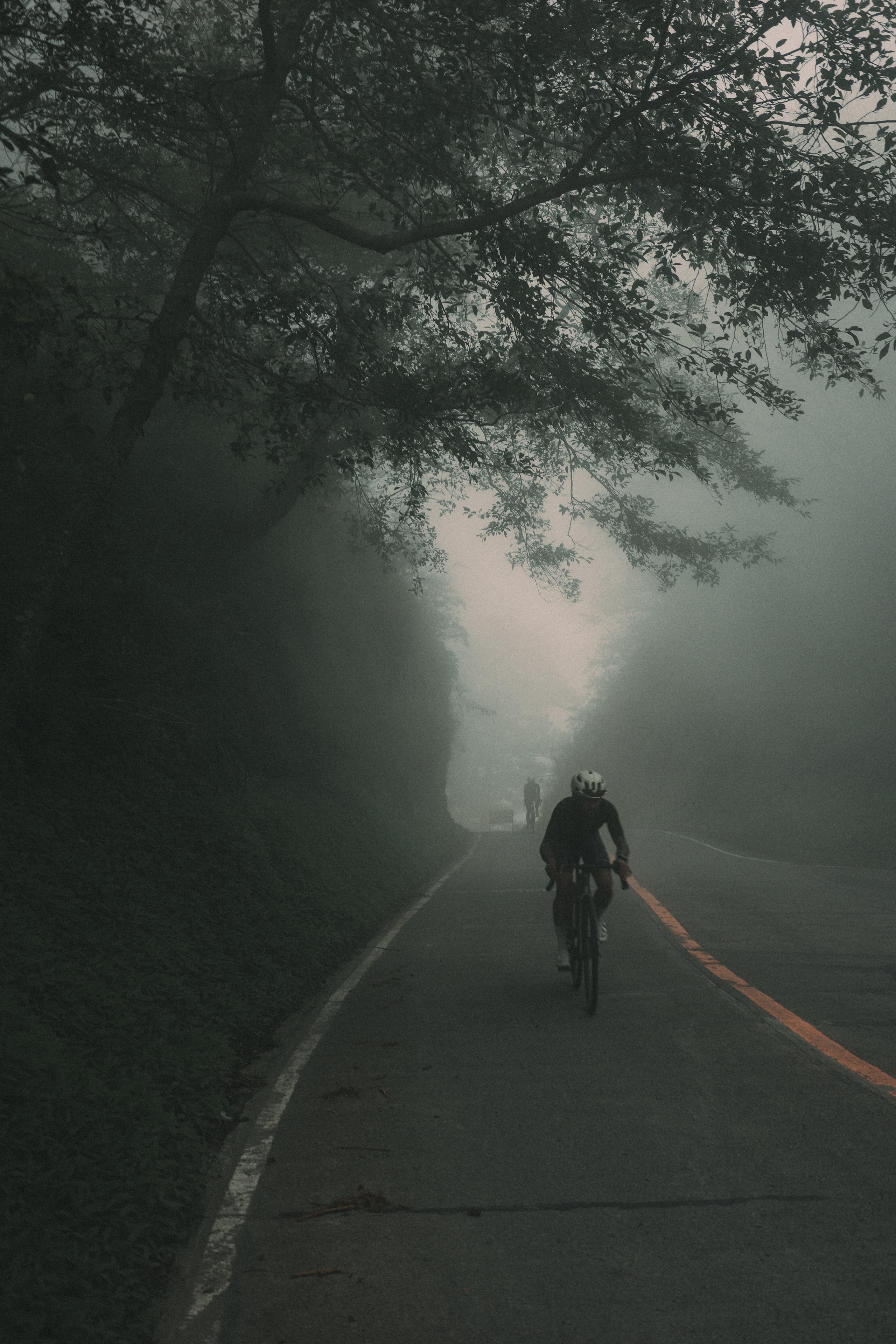 Cyclist riding on misty tree-lined road in fog